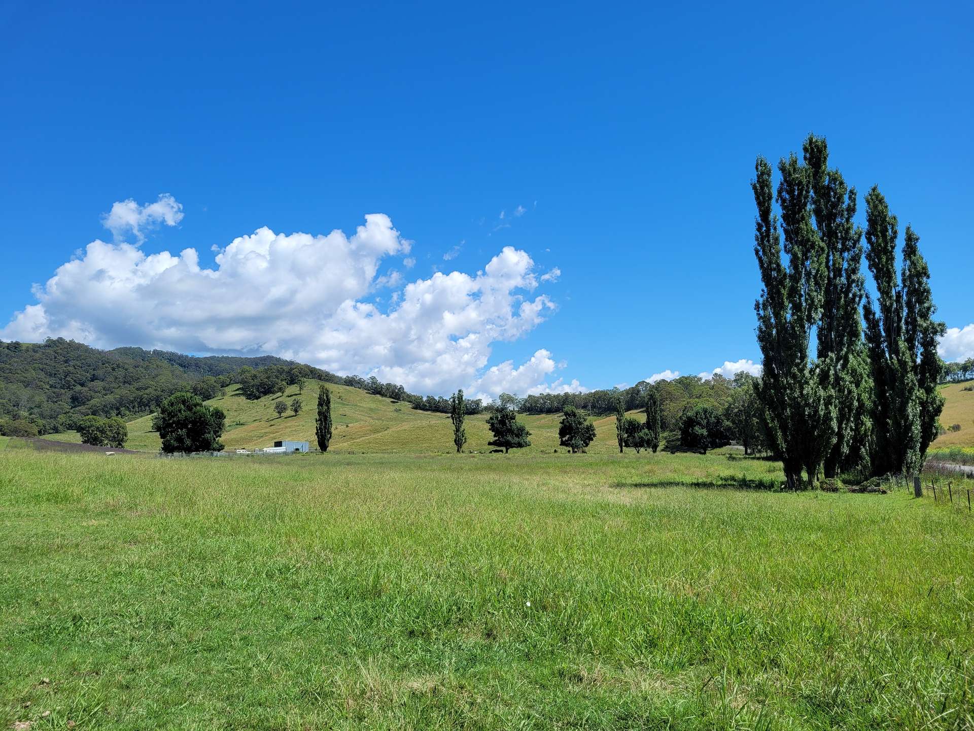 472 Neringla Road, Neringla For Sale by Farmbuy.com - image 4