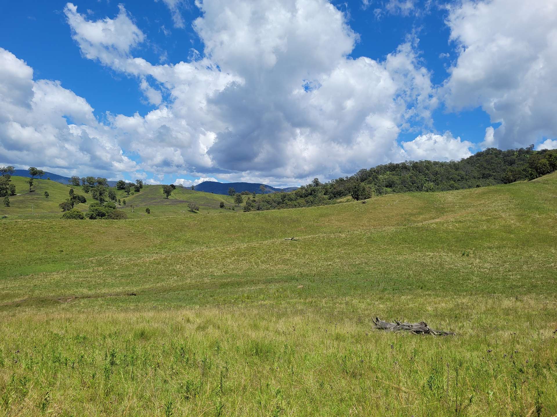 472 Neringla Road, Neringla For Sale by Farmbuy.com - image 11