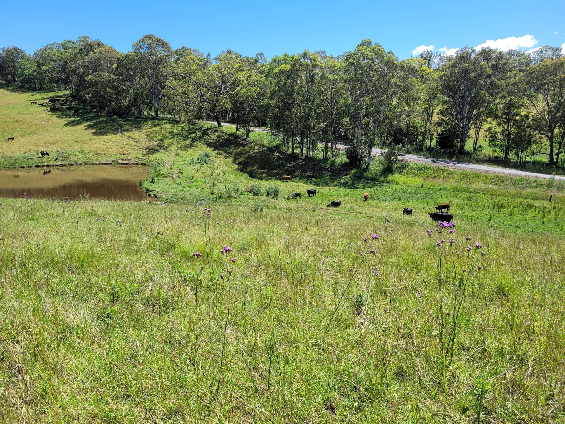 472 Neringla Road, Neringla For Sale by Farmbuy.com - image 18