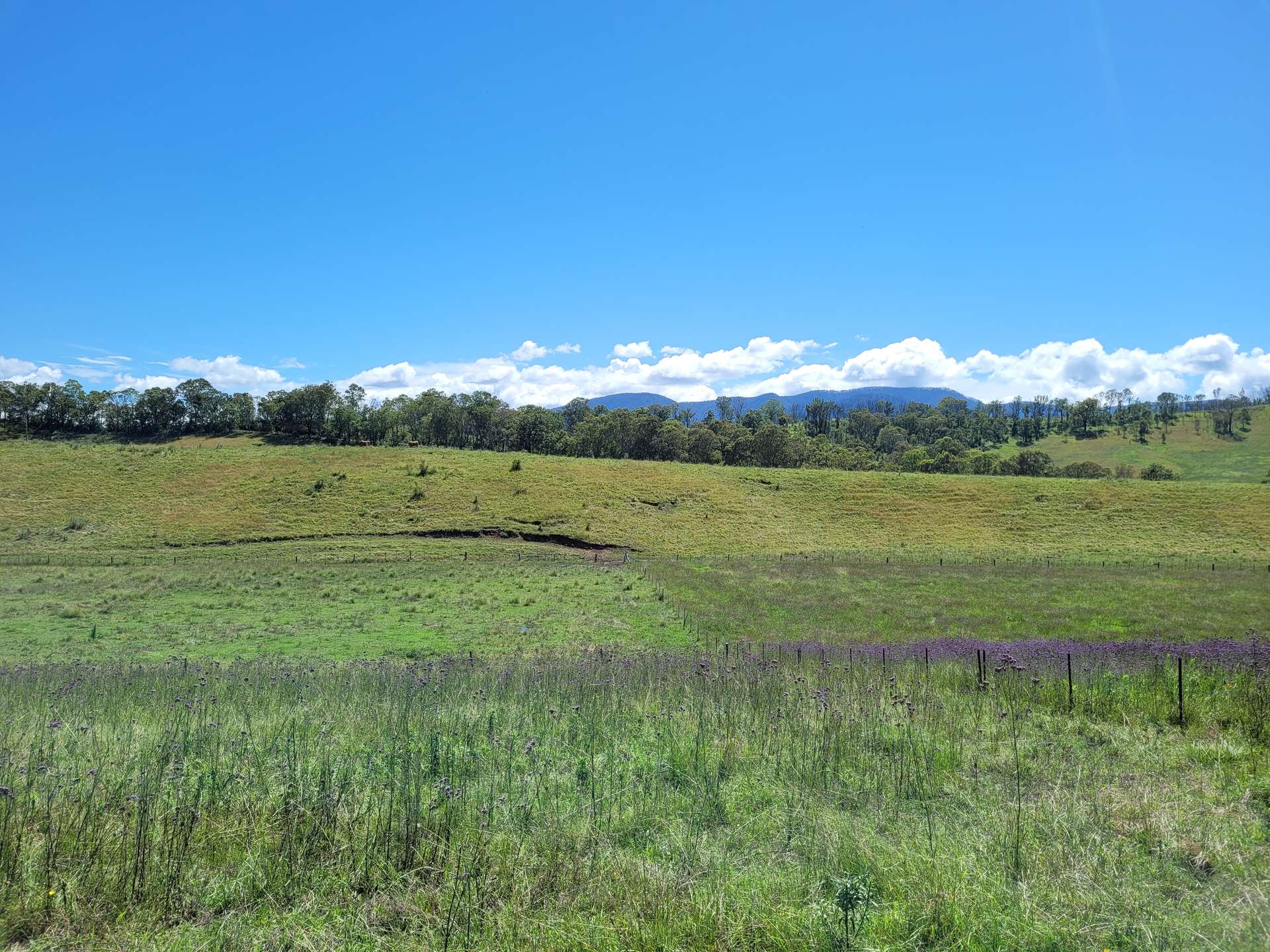 472 Neringla Road, Neringla For Sale by Farmbuy.com - image 14