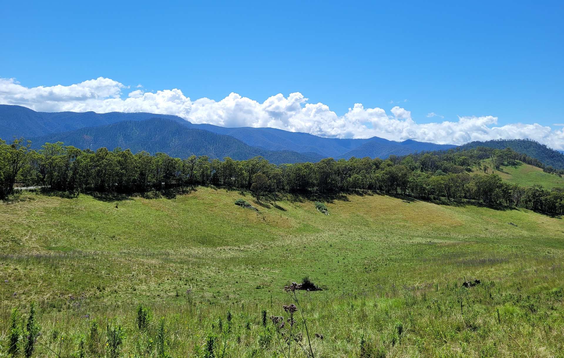 472 Neringla Road, Neringla For Sale by Farmbuy.com - image 5