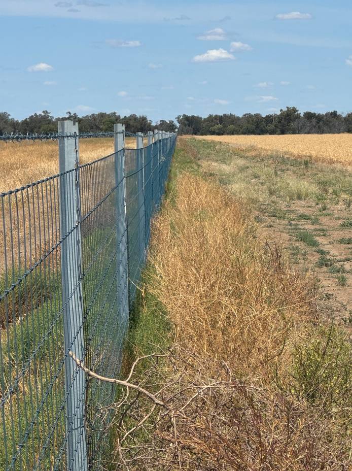 3282 Gungalman Road, Carinda For Sale by Farmbuy.com - image 9