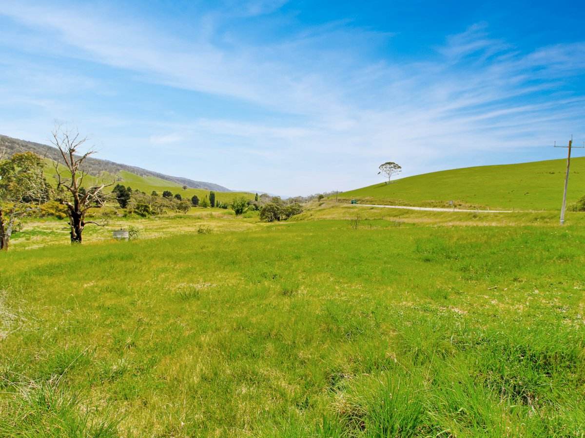 303 Omeo Highway, Omeo For Sale by Farmbuy.com - image 4