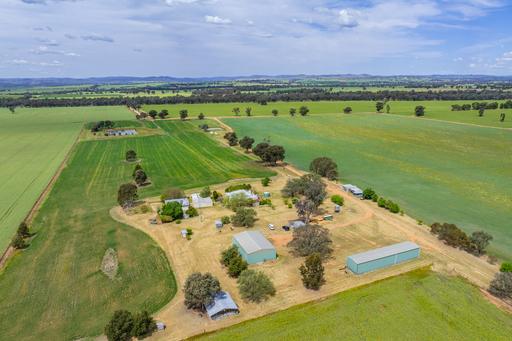 Farm Sold - NSW - Cowra - 2794 - 160 ACRES OF HIGH QUALITY COWRA FARMING COUNTRY! 