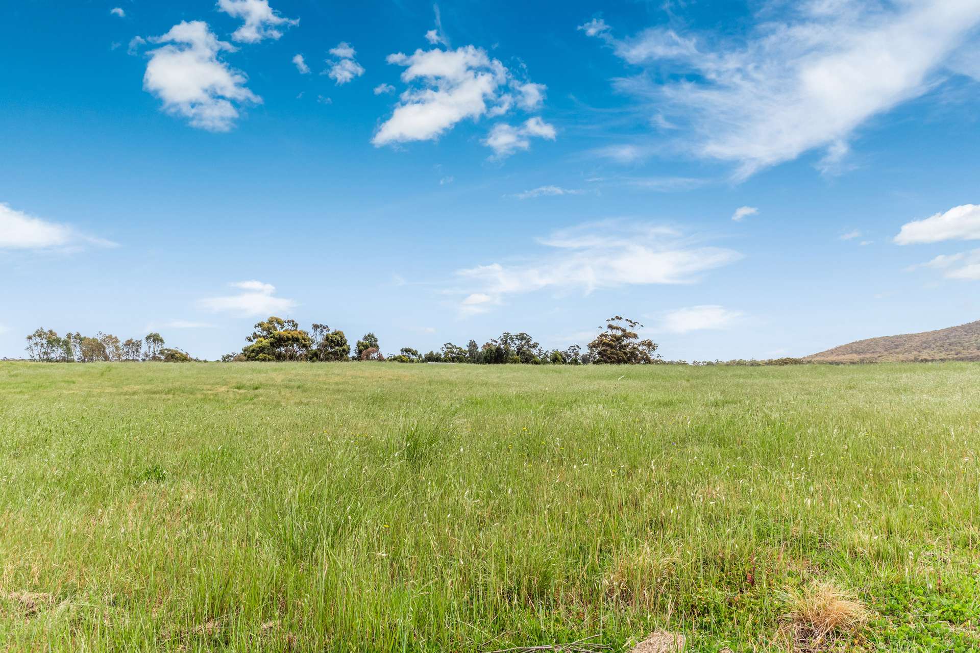 100 Trellis Drive, Heathcote Sold by Farmbuy.com - image 4