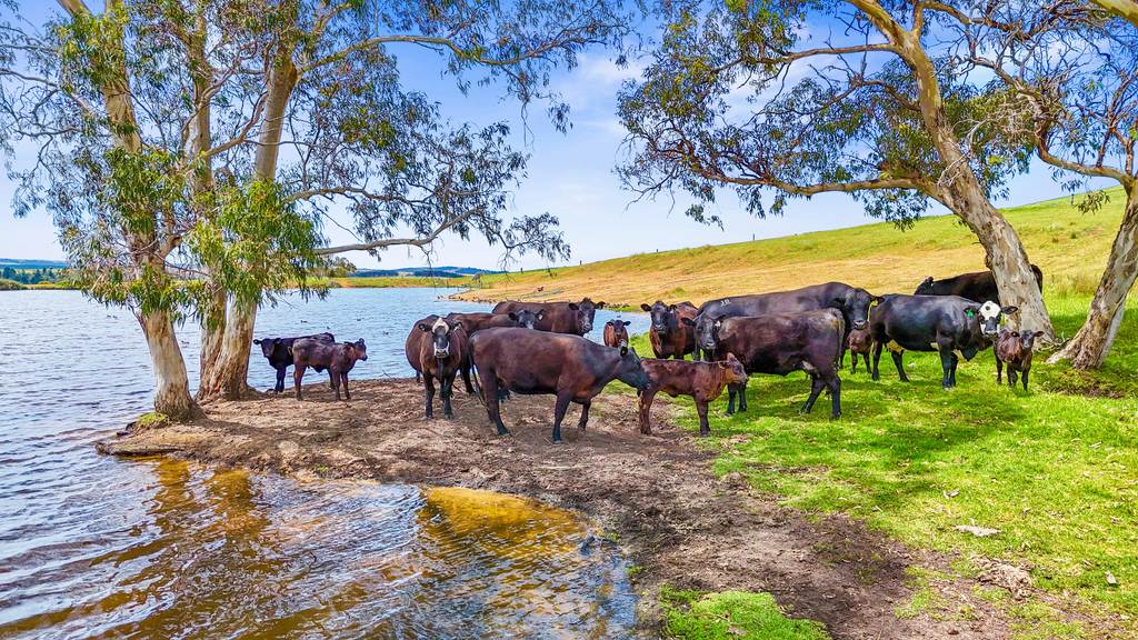 700 Cleland Gully Road, Tooperang SA 5255
