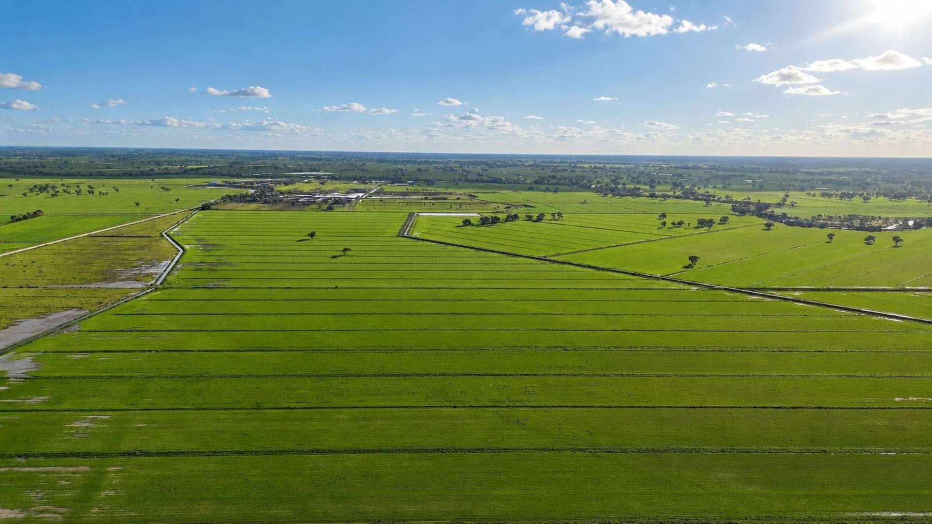 7172 Murray Valley Highway, Cullen For Sale by Farmbuy.com - image 2