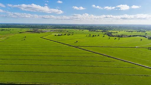 Farm For Sale - VIC - Cullen - 3568 - 