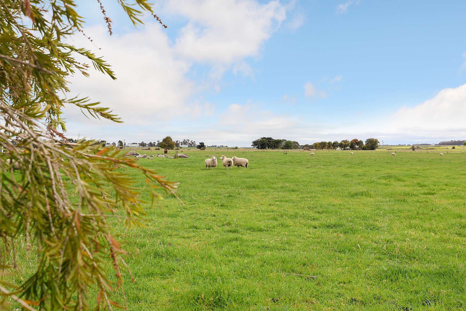 1026 Hamilton Highway, Derrinallum For Sale by Farmbuy.com - image 20