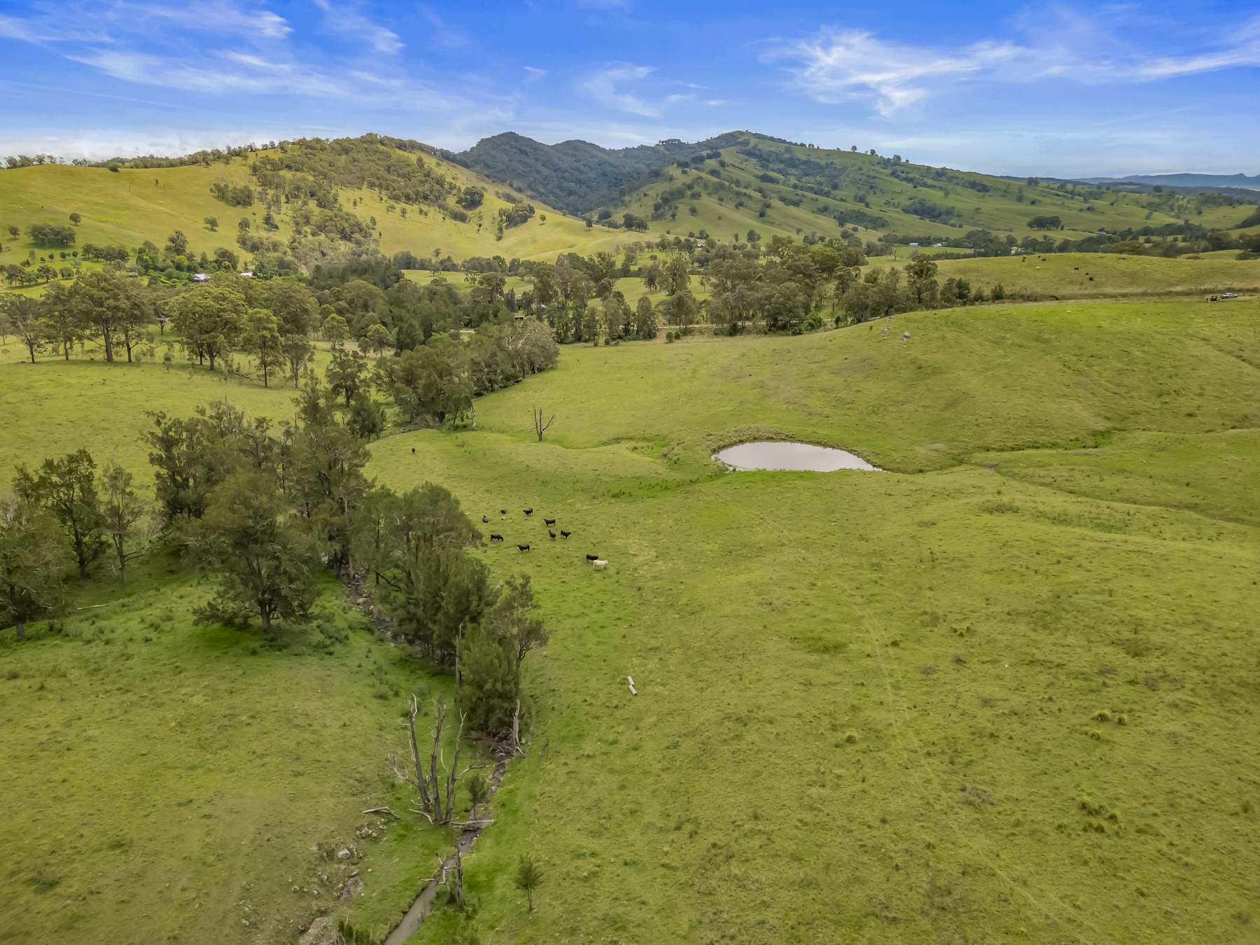 Carrowbrook Road Mount Olive, Singleton For Sale by Farmbuy.com - image 9