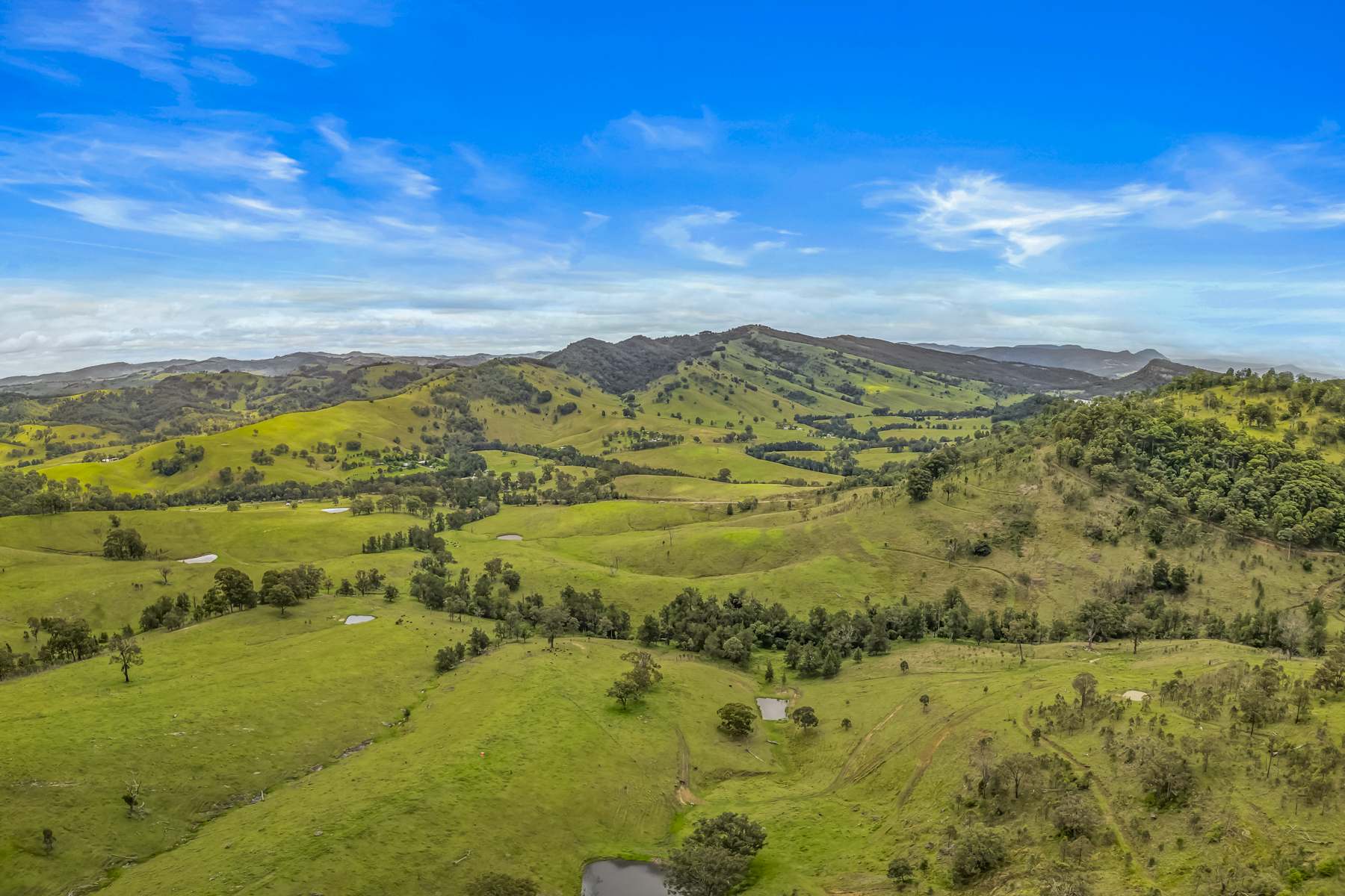 Carrowbrook Road Mount Olive, Singleton For Sale by Farmbuy.com - image 3