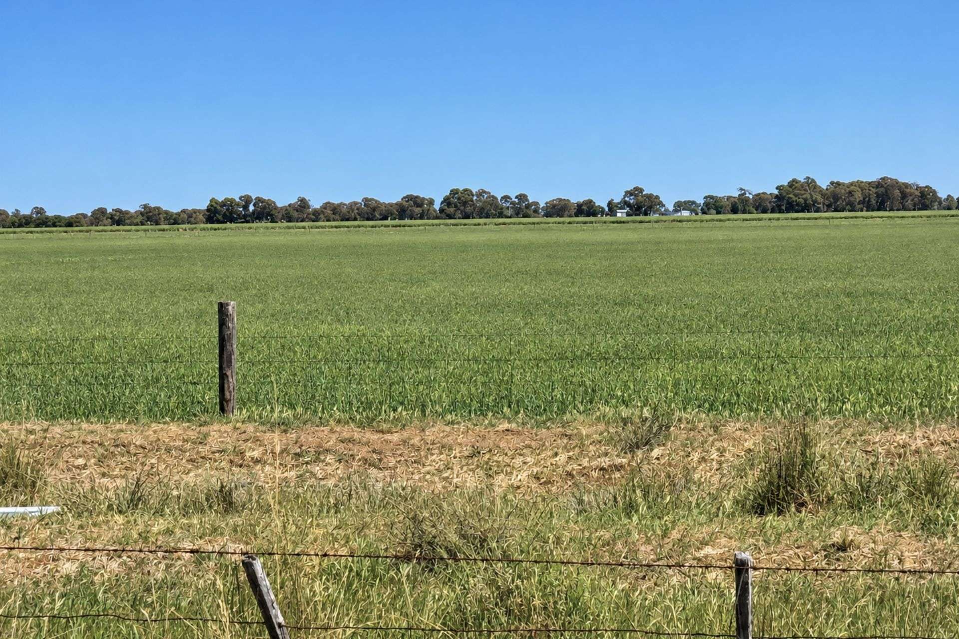 901 - 903 Johnson Road, Kotta For Sale by Farmbuy.com - image 2