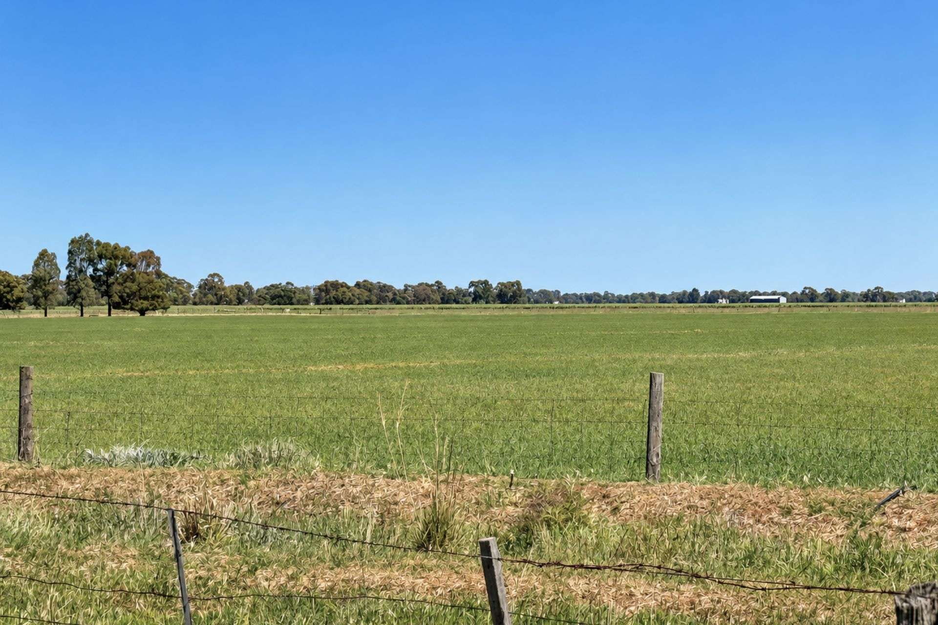 901 - 903 Johnson Road, Kotta For Sale by Farmbuy.com - image 1
