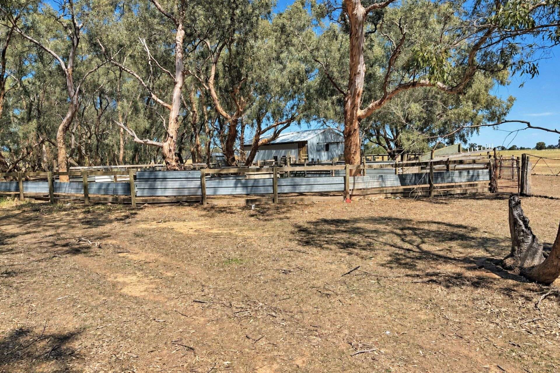 901 - 903 Johnson Road, Kotta For Sale by Farmbuy.com - image 11