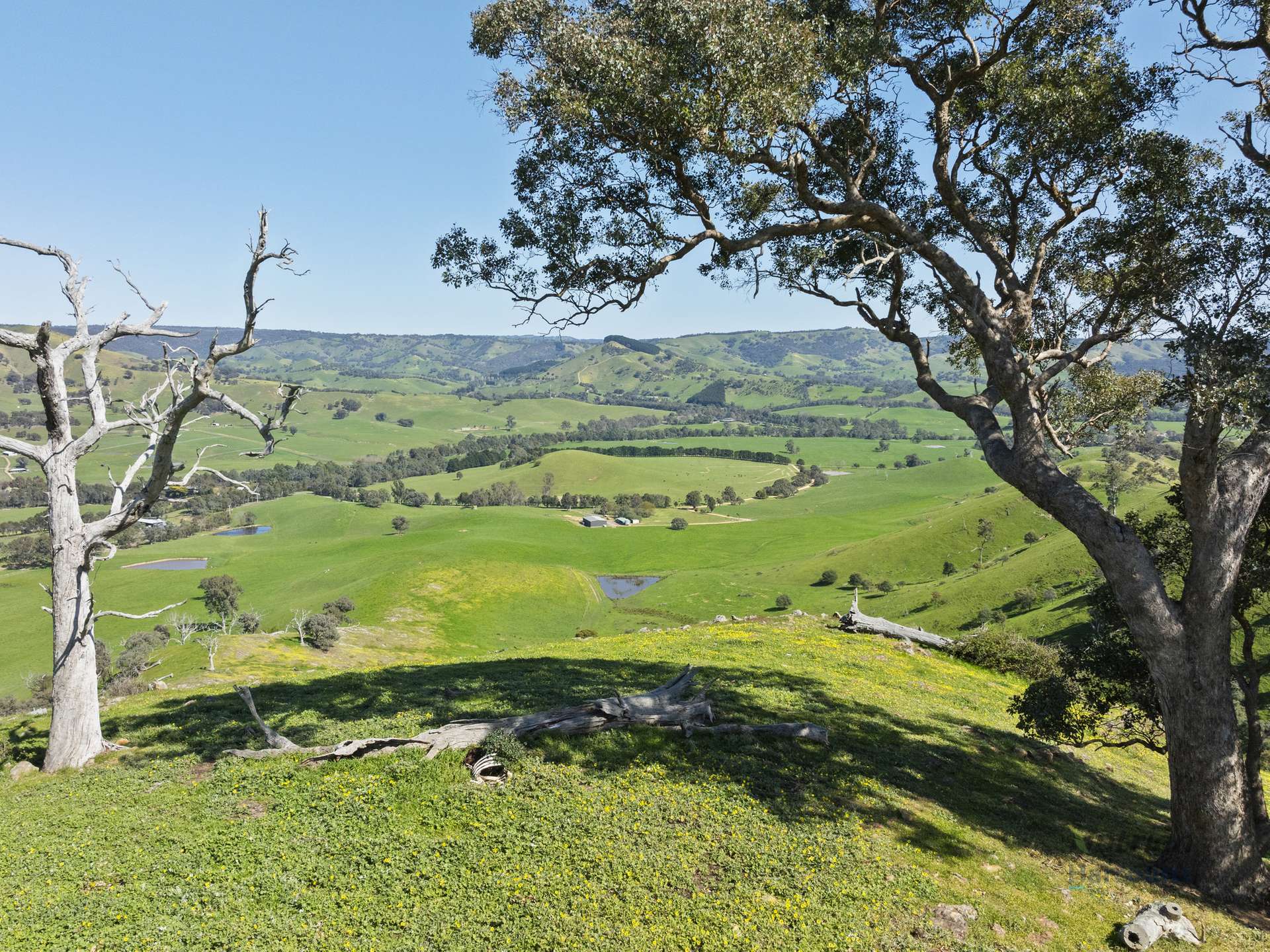 Part 55 Upper King Parrot Creek Road, Strath Creek For Sale by Farmbuy.com - image 32