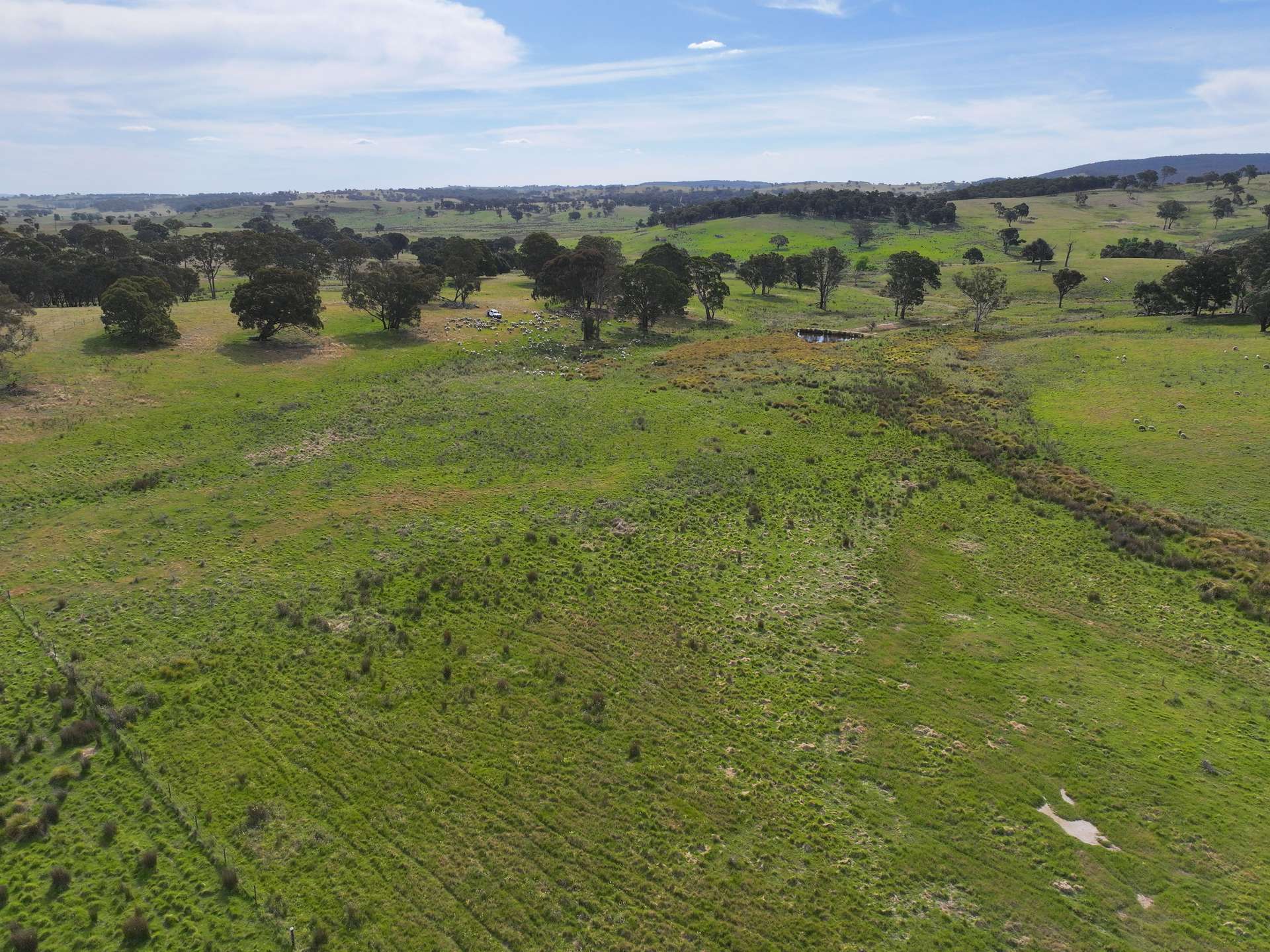 680 Kangaloolah Road, Binda For Sale by Farmbuy.com - image 8