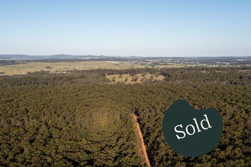 Farm Sold - NSW - Lower Belford - 2335 - 116 ACRES | RURAL OASIS ON THE DOORSTEP OF THE HUNTERS WINE REGION 