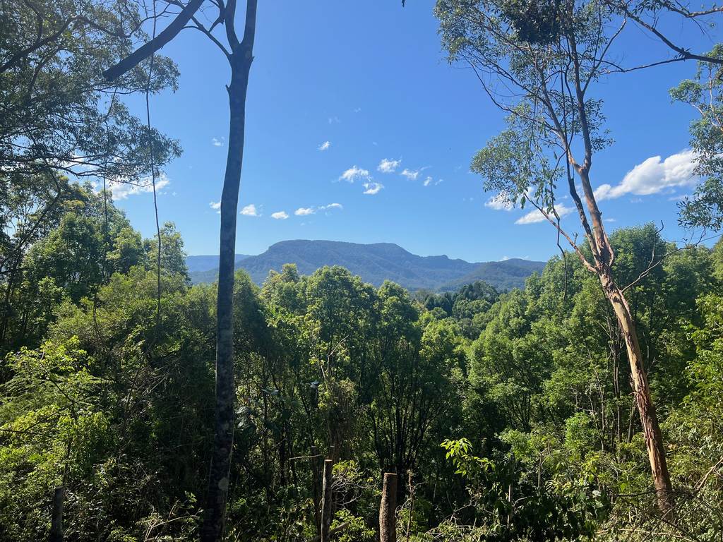 Lot 8&comma; 345 Tuntable Falls Road, Nimbin NSW 2480