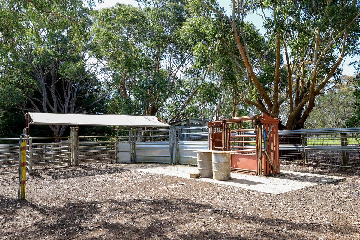 137 Nareen Road, Konongwootong For Sale by Farmbuy.com - image 25