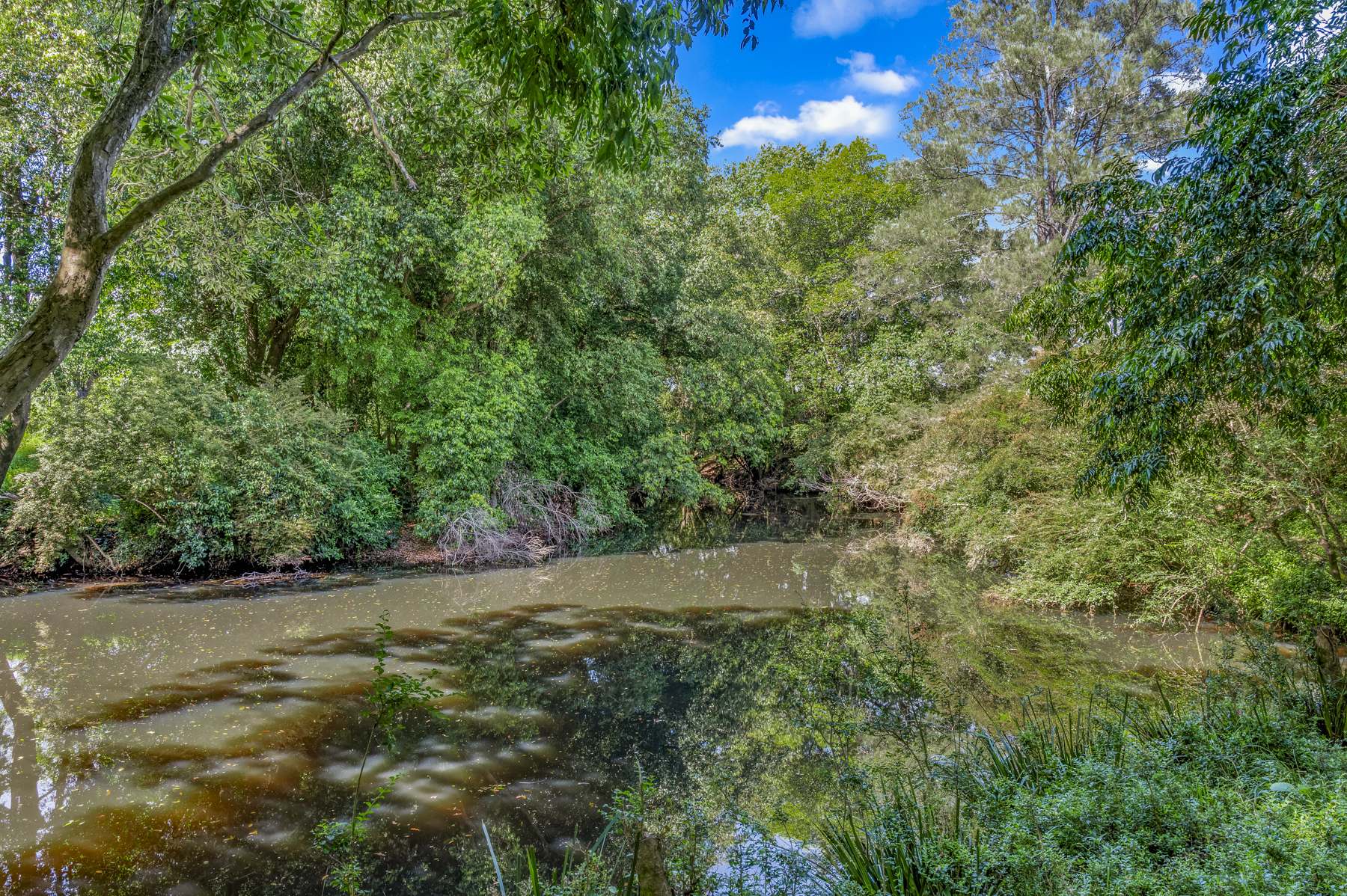 3201 Wallanbah Road, Dyers Crossing For Sale by Farmbuy.com - image 9