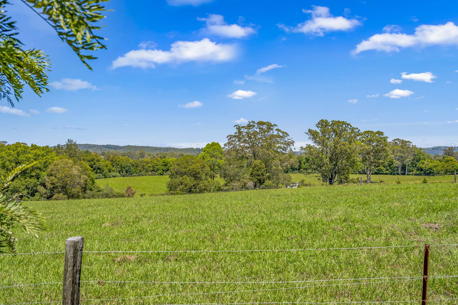 3201 Wallanbah Road, Dyers Crossing For Sale by Farmbuy.com - image 30