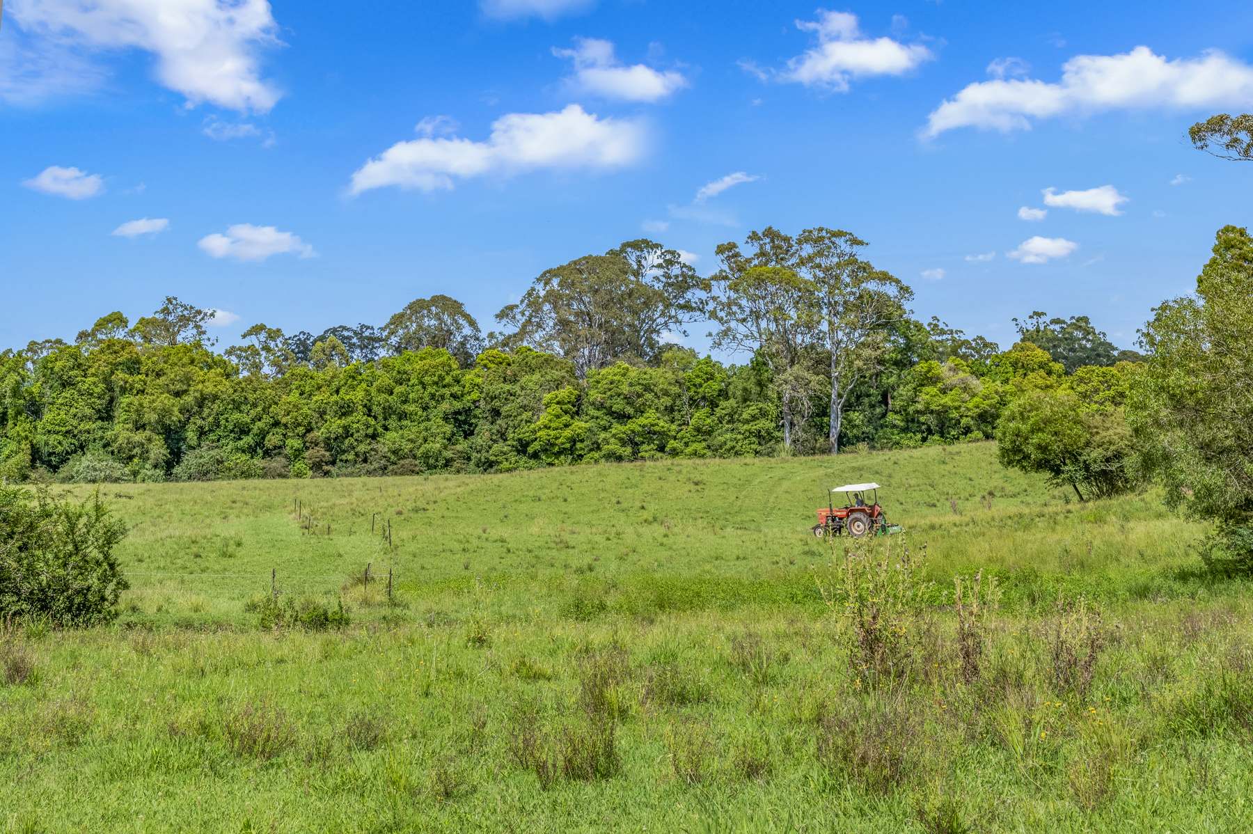 3201 Wallanbah Road, Dyers Crossing For Sale by Farmbuy.com - image 34