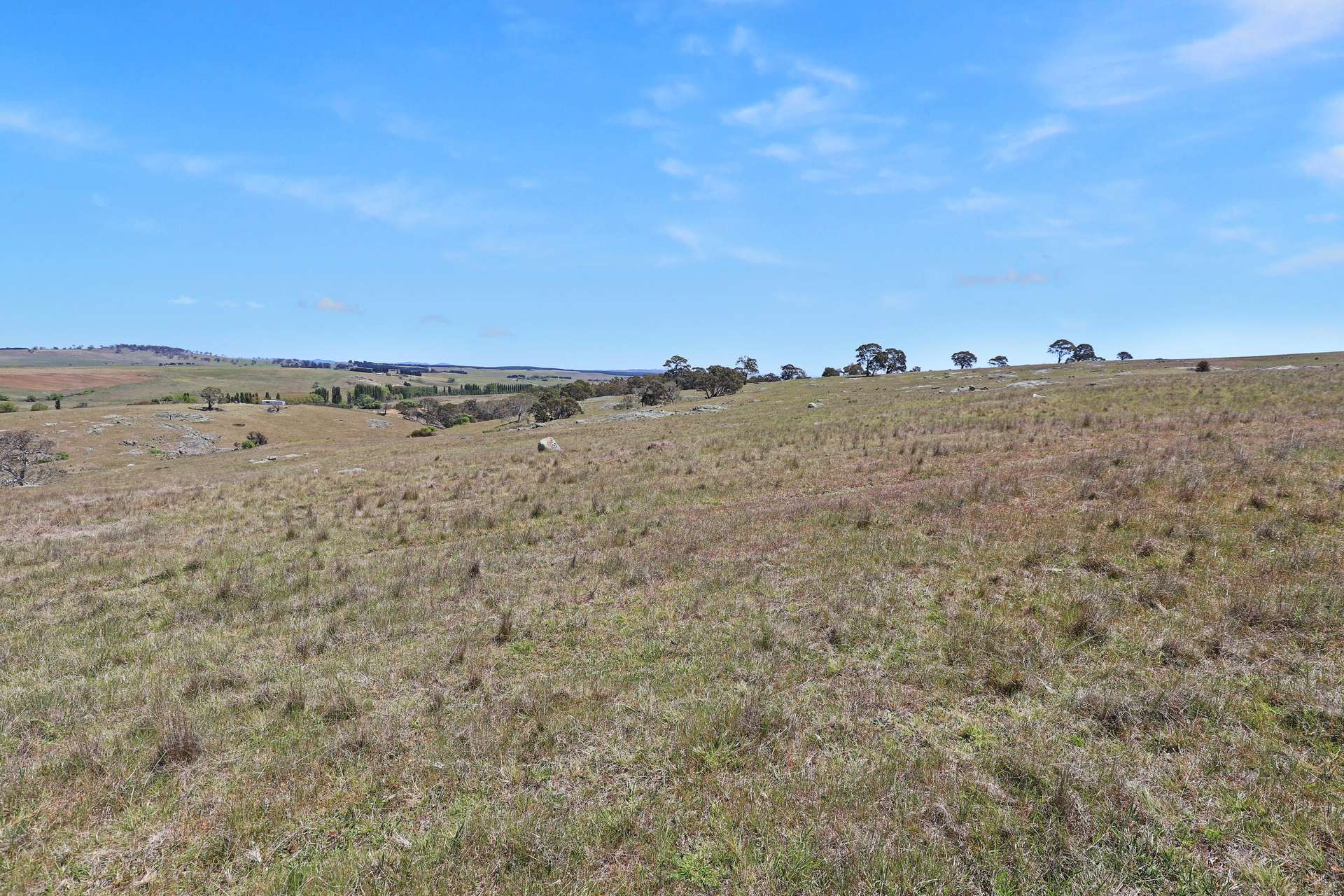Lot 50 Delegate Road, Bombala For Sale by Farmbuy.com - image 14