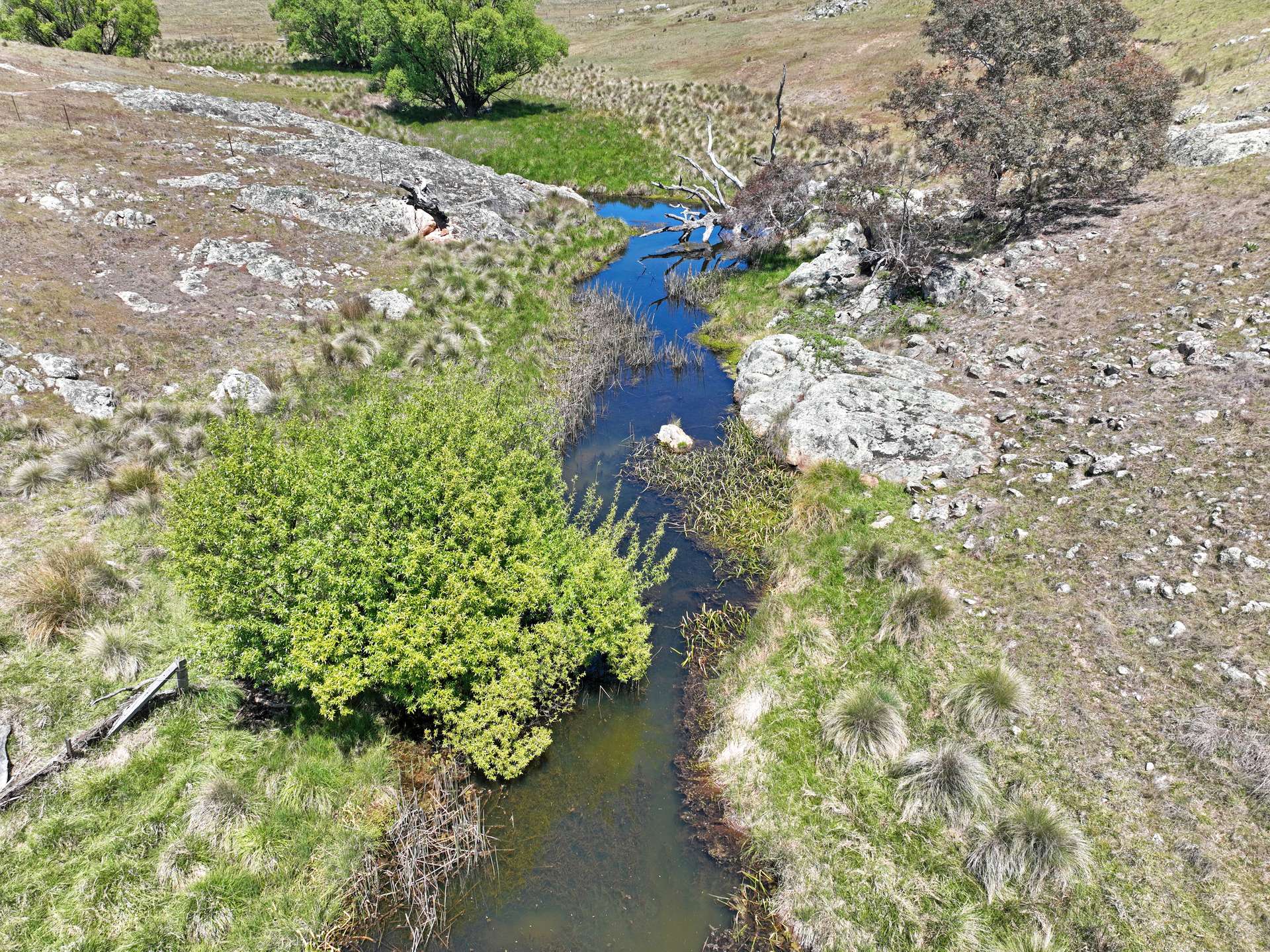 Lot 50 Delegate Road, Bombala For Sale by Farmbuy.com - image 31