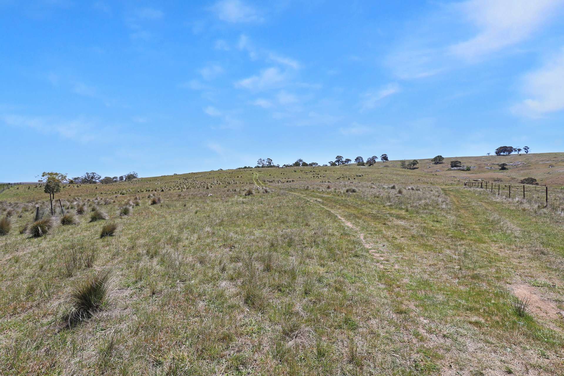 Lot 50 Delegate Road, Bombala For Sale by Farmbuy.com - image 13