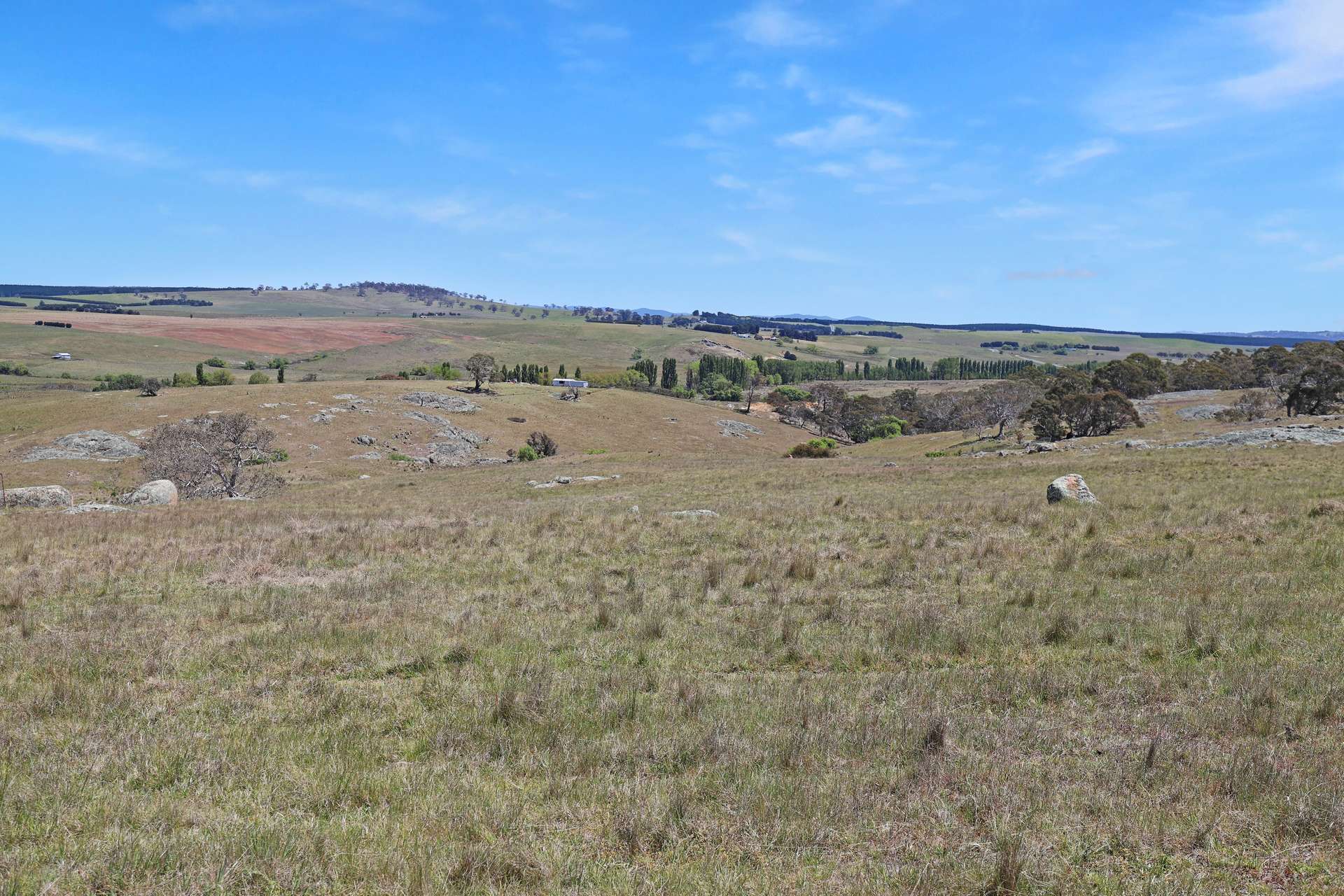 Lot 50 Delegate Road, Bombala For Sale by Farmbuy.com - image 15