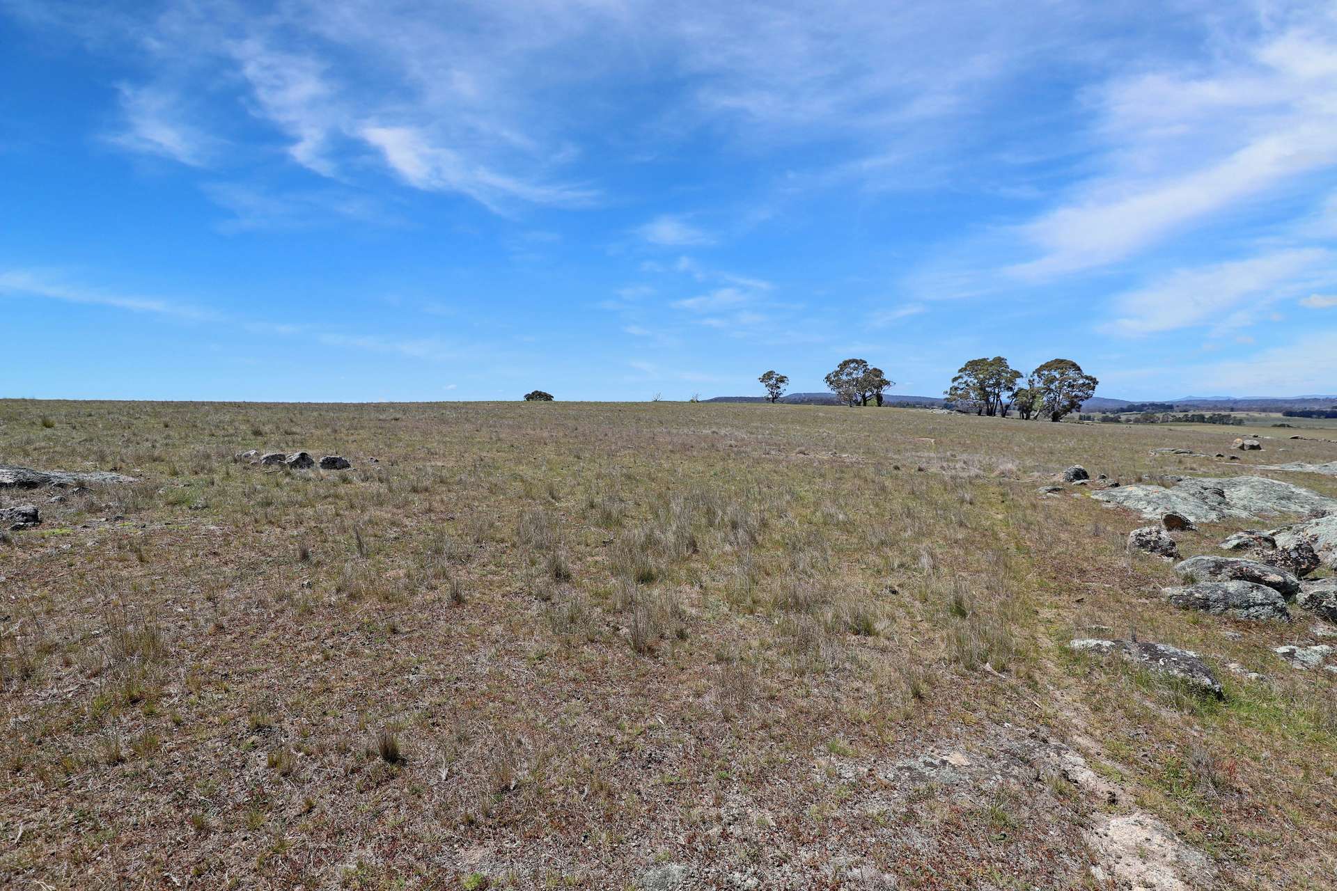 Lot 50 Delegate Road, Bombala For Sale by Farmbuy.com - image 10