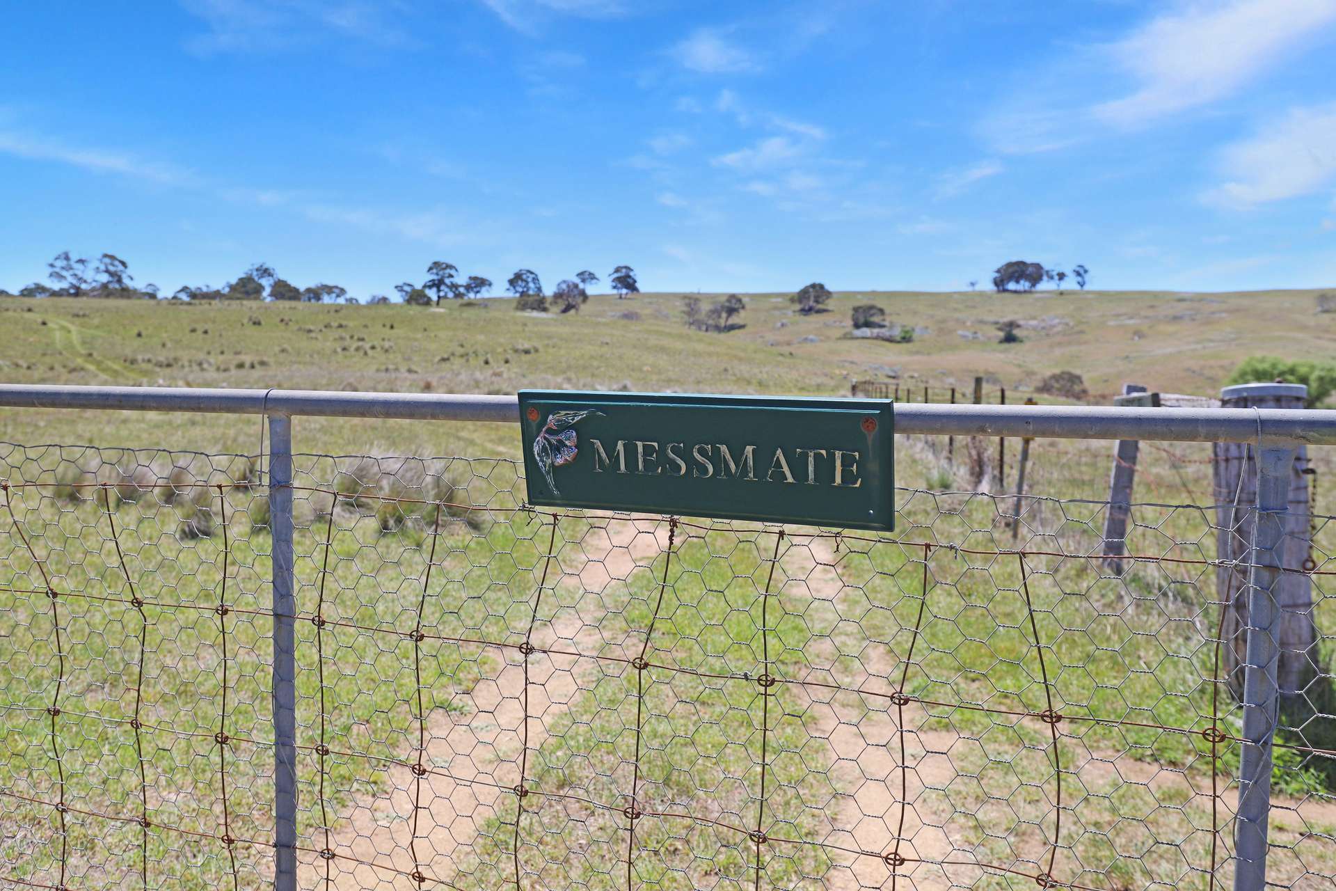 Lot 50 Delegate Road, Bombala For Sale by Farmbuy.com - image 2