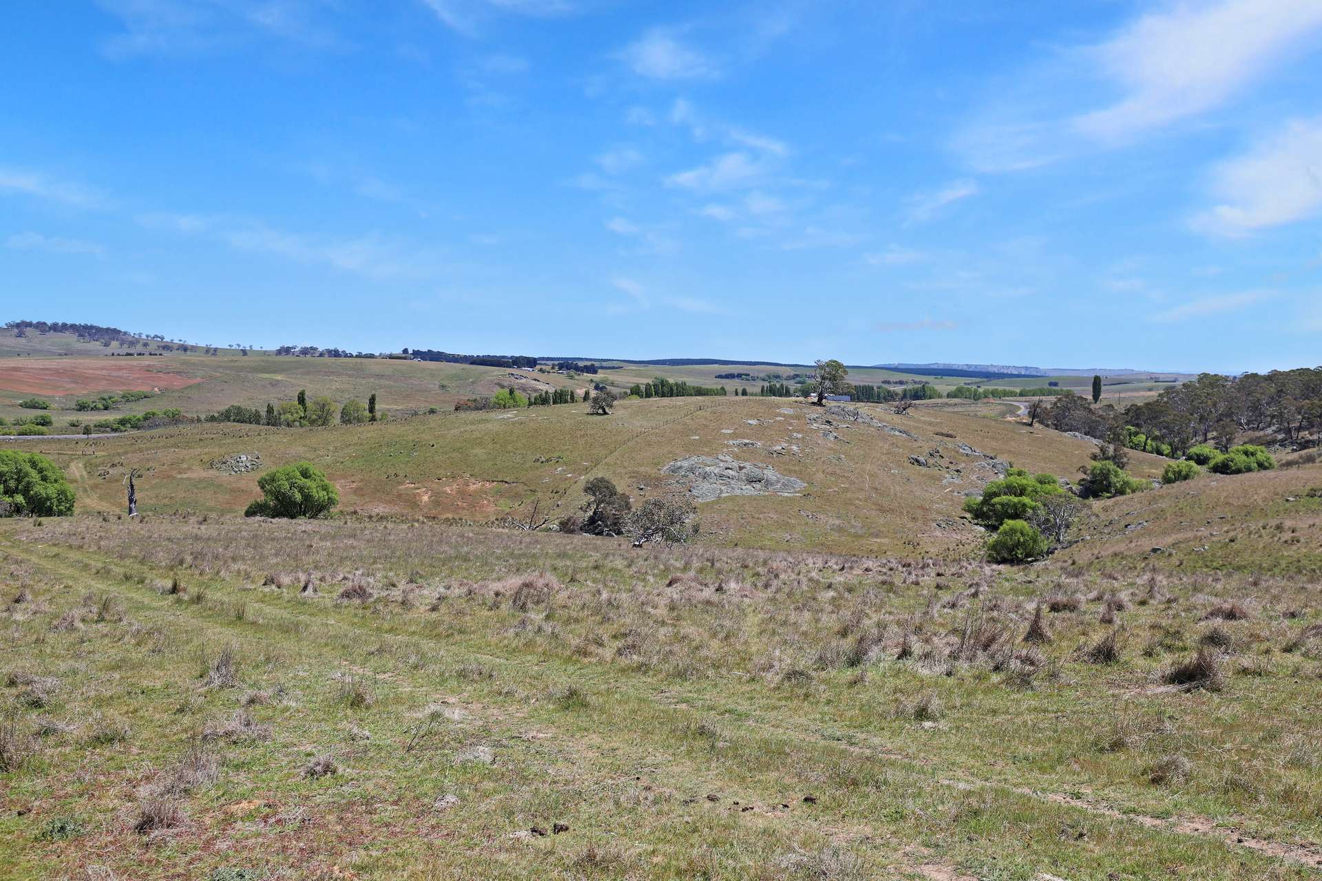 Lot 50 Delegate Road, Bombala For Sale by Farmbuy.com - image 16