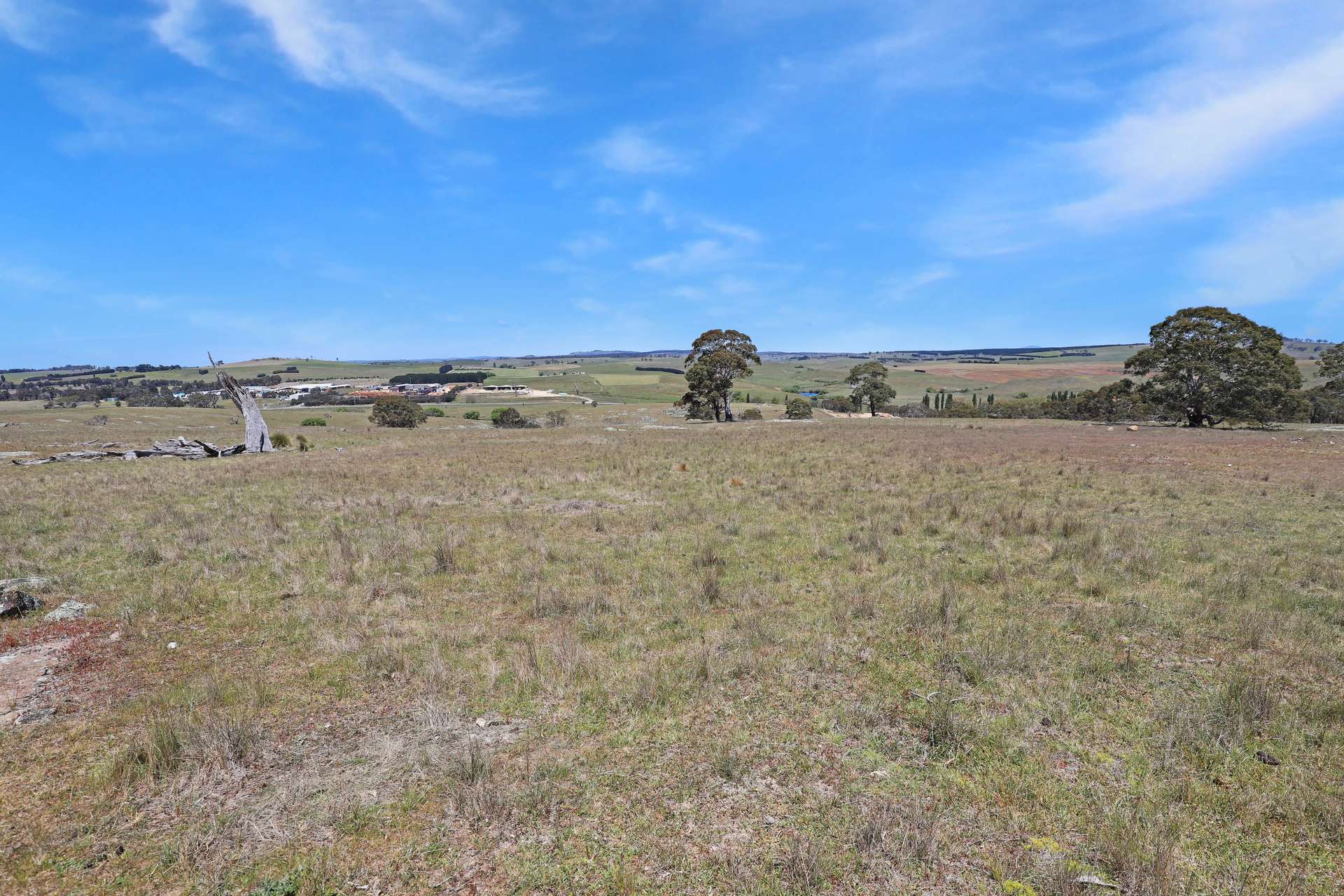 Lot 50 Delegate Road, Bombala For Sale by Farmbuy.com - image 11