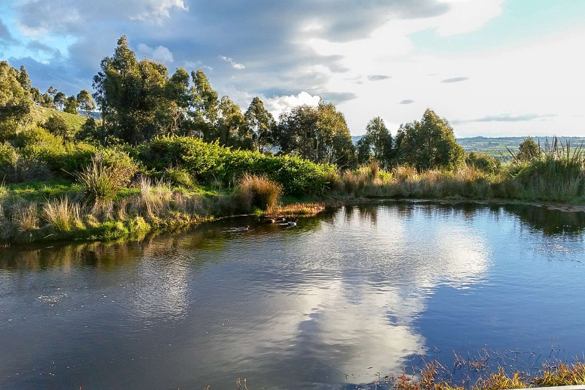426 Yarragon Leongatha Road, Yarragon For Sale by Farmbuy.com - image 22