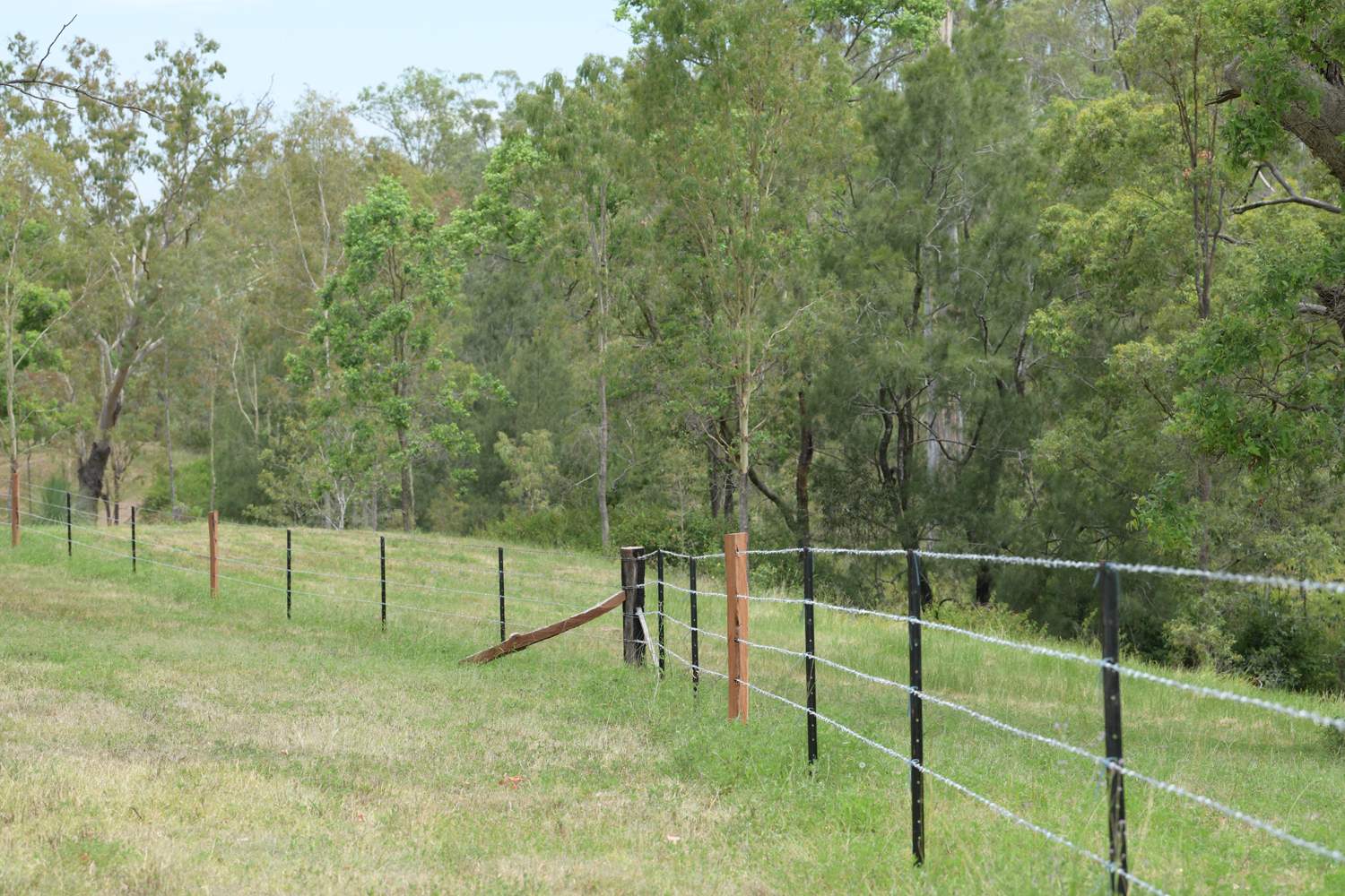 Lot 40 Lake Manchester Road, Lake Manchester Sold by Farmbuy.com - image 7