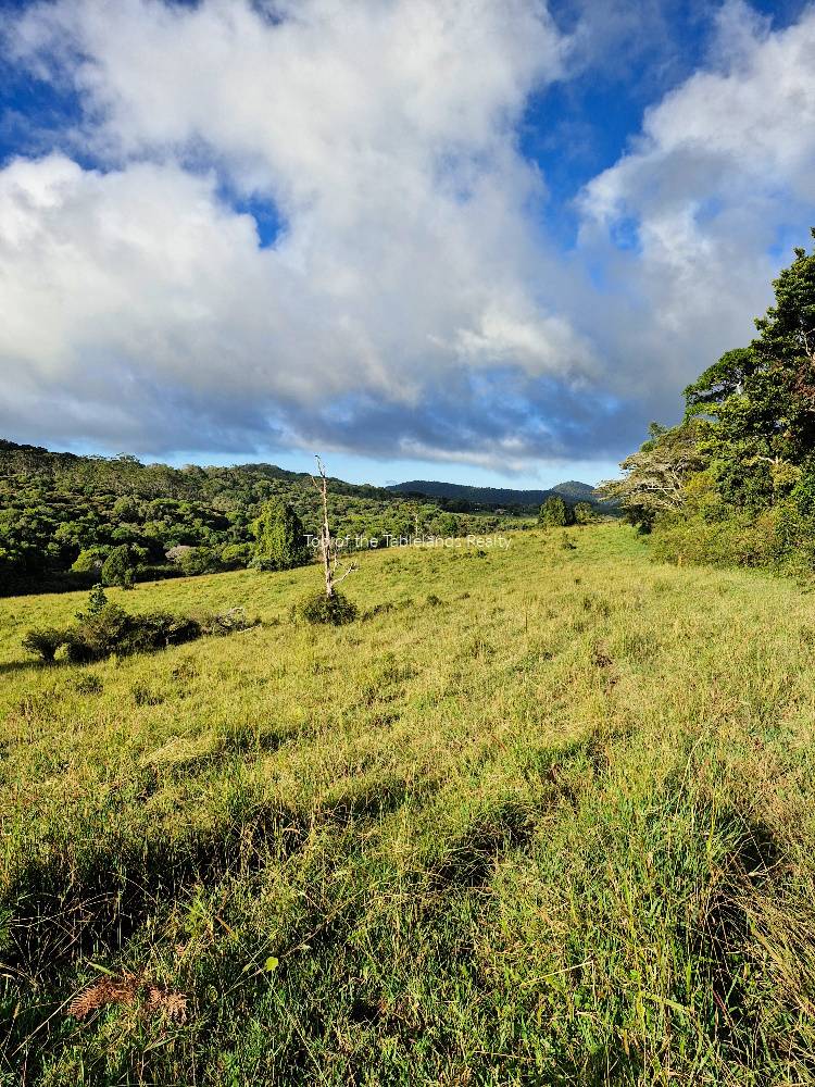 11551 Kennedy Hwy, Evelyn For Sale by Farmbuy.com - image 4