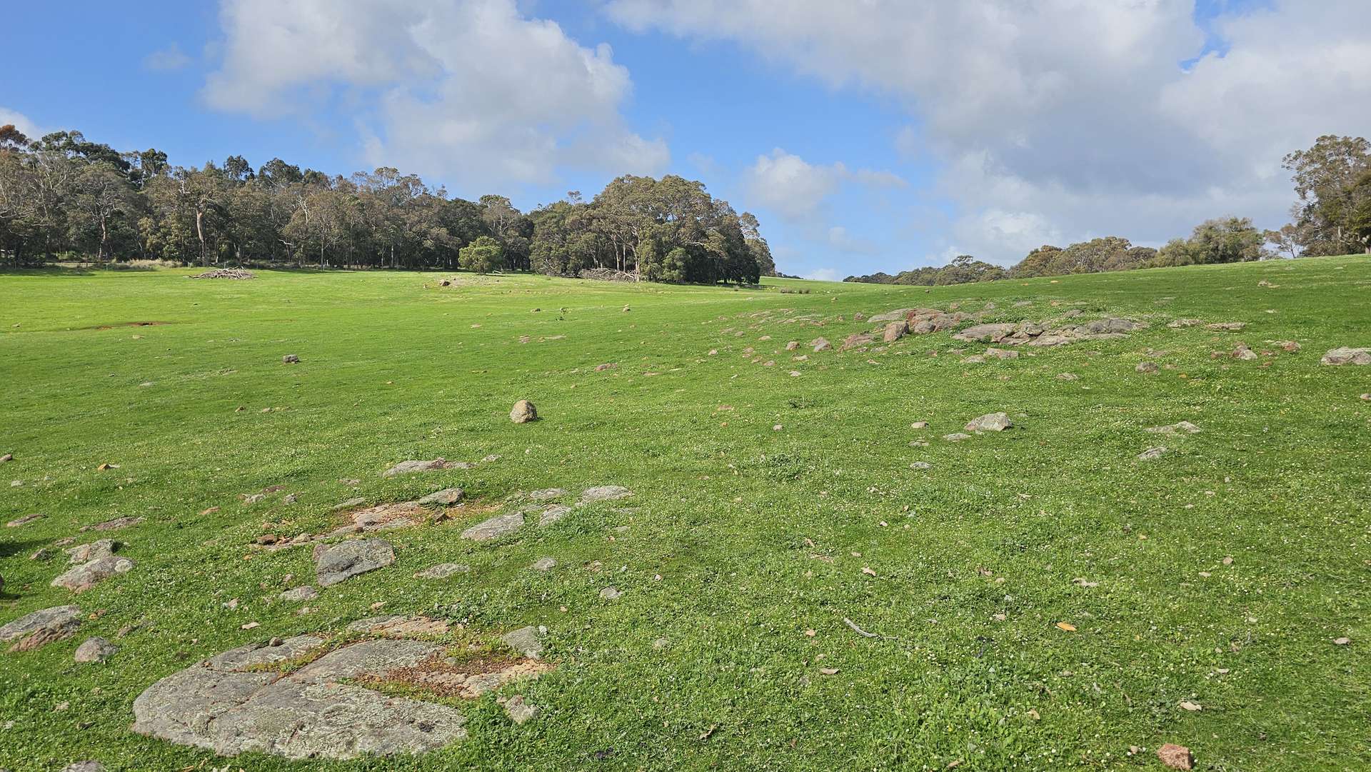 Lot 61 Caves Road, Burnside For Sale by Farmbuy.com - image 7