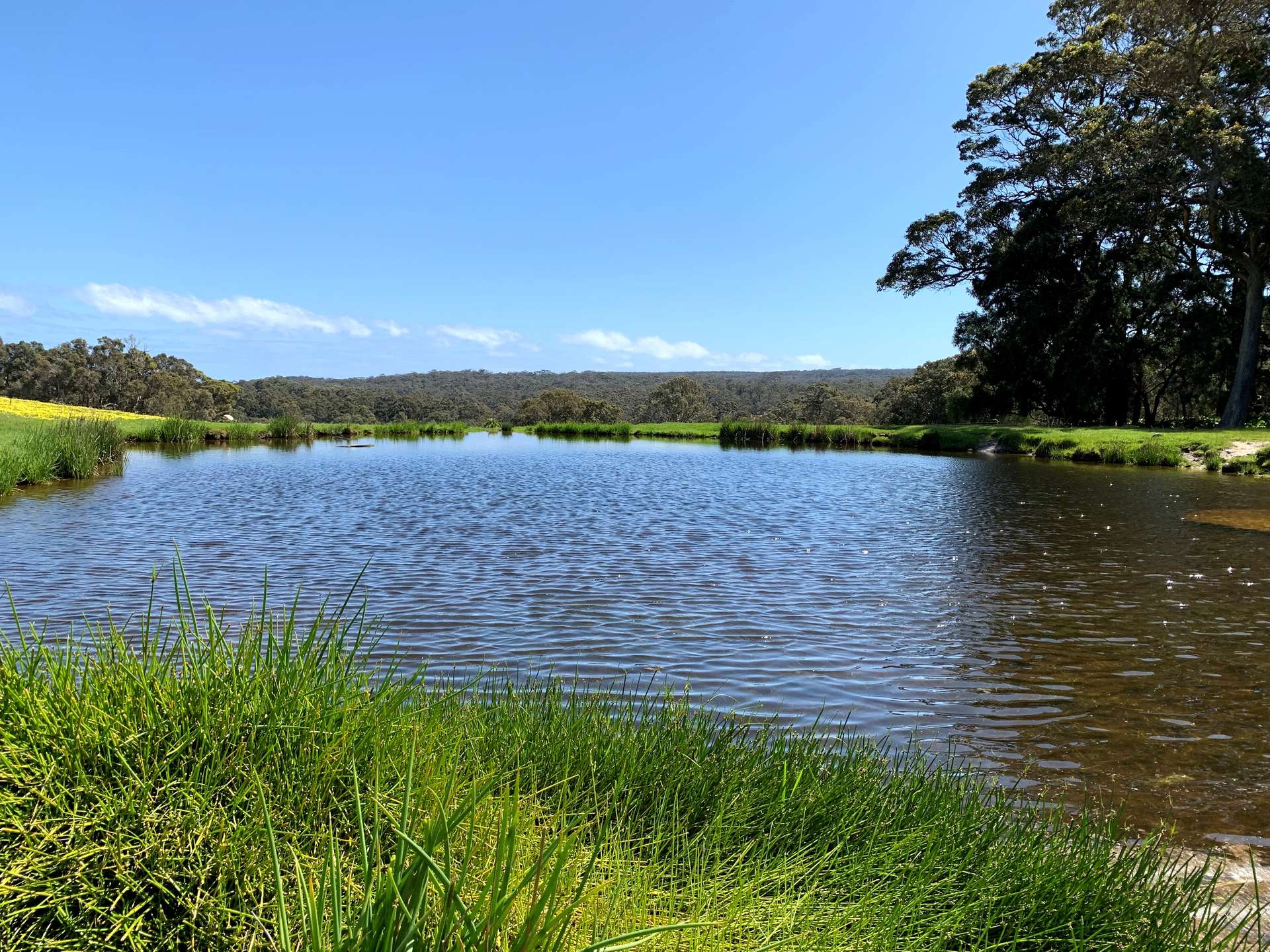 Lot 61 Caves Road, Burnside For Sale by Farmbuy.com - image 5