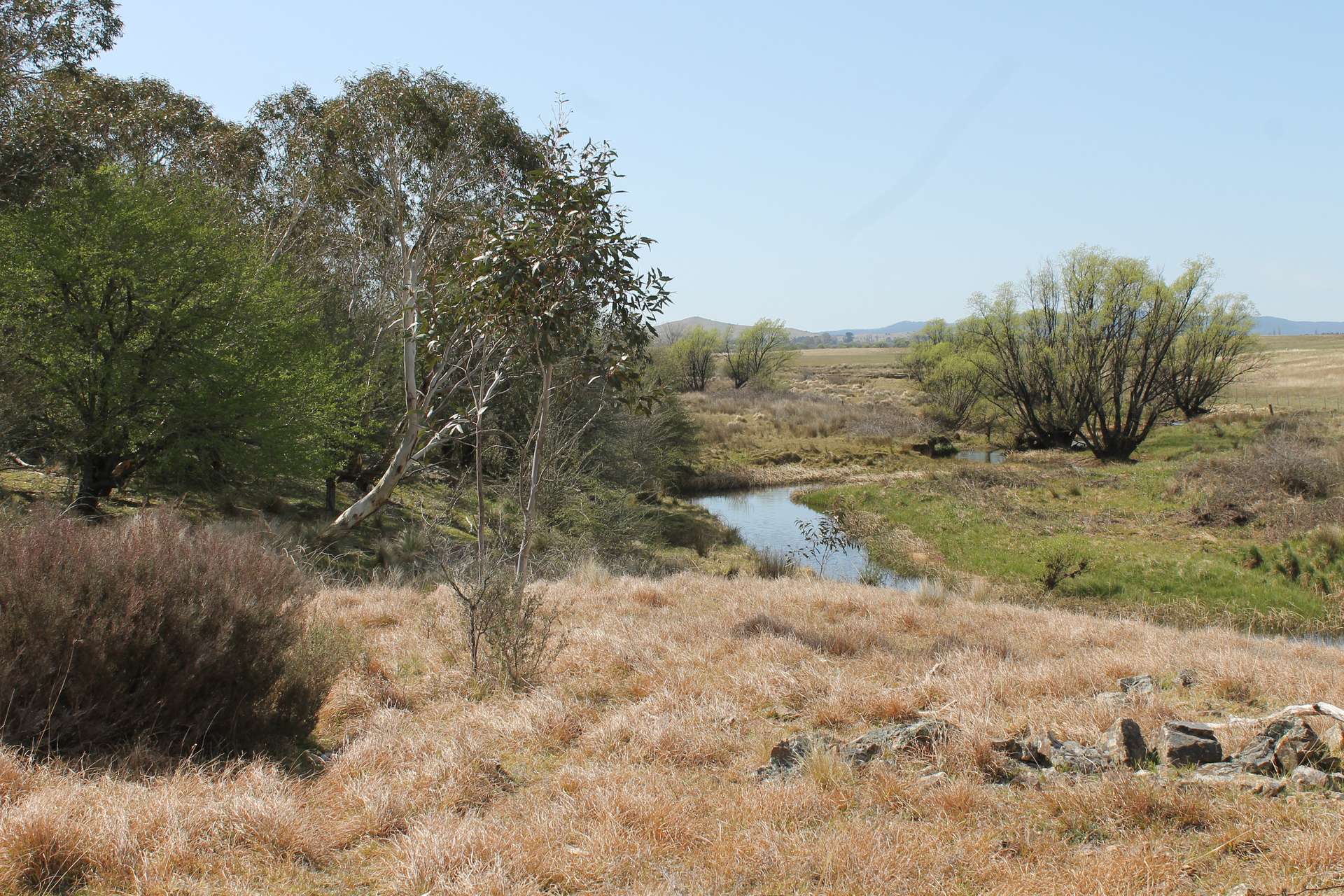 661 Cooma Road, Braidwood For Sale by Farmbuy.com - image 8