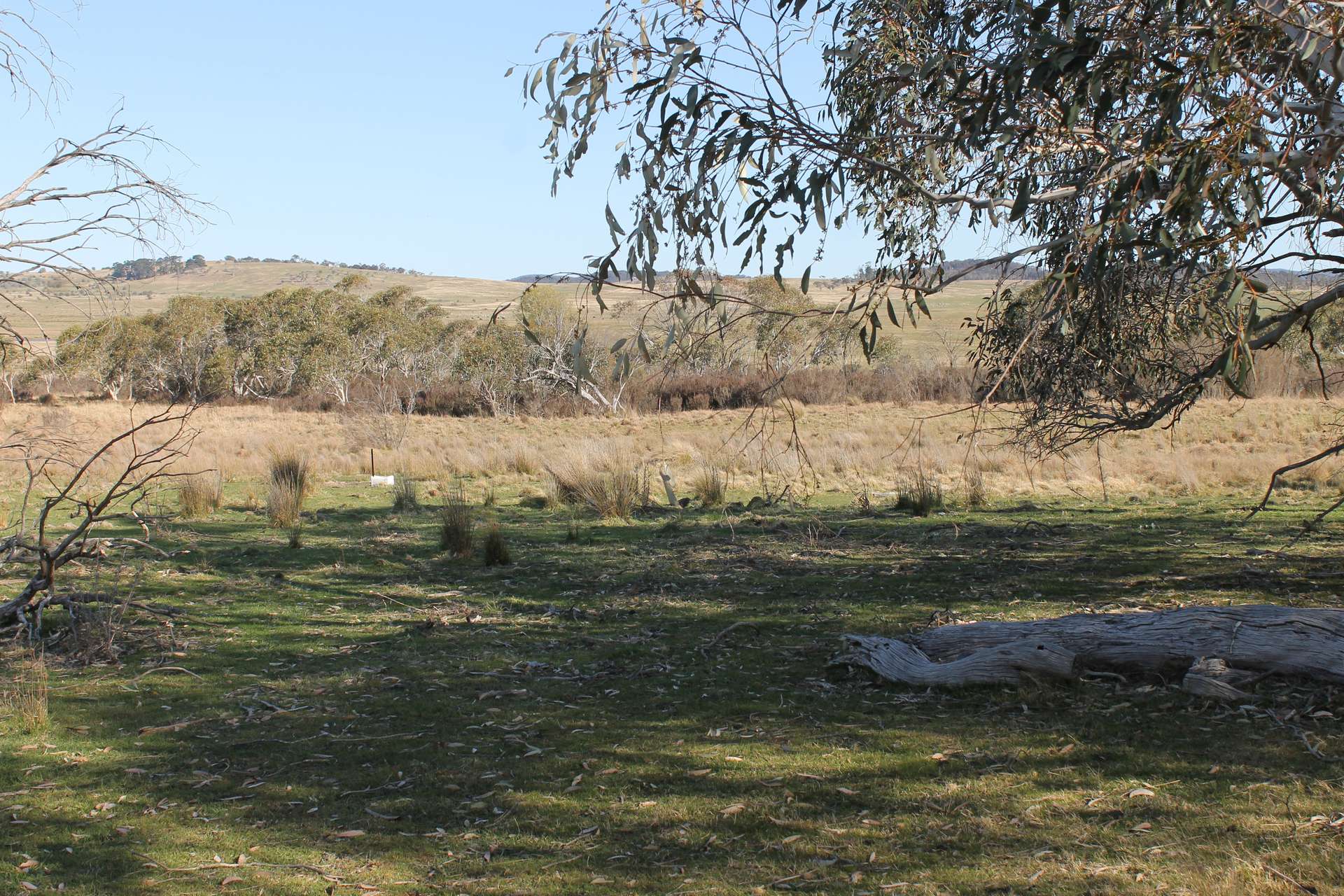661 Cooma Road, Braidwood For Sale by Farmbuy.com - image 10