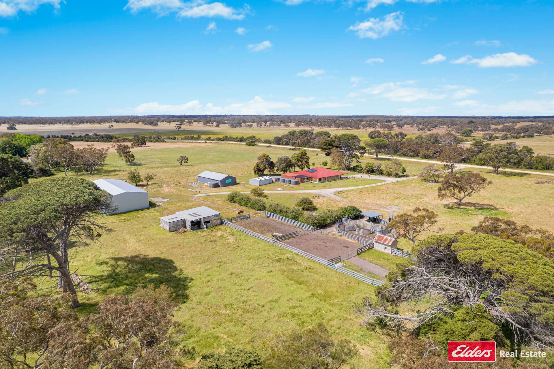 294 Bowaka Road, Kingston Se For Sale by Farmbuy.com - image 4