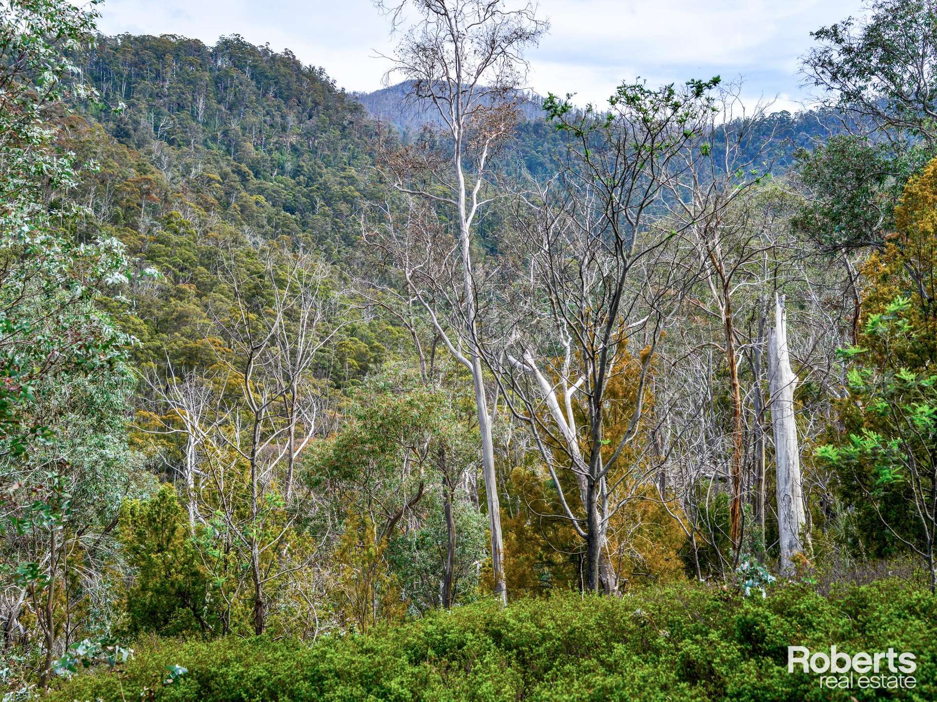 869 Back River Road, Magra For Sale by Farmbuy.com - image 15