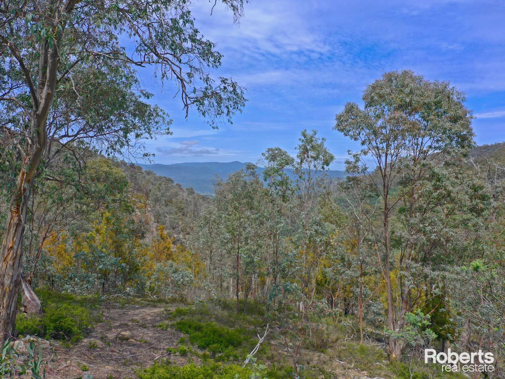 869 Back River Road, Magra For Sale by Farmbuy.com - image 5