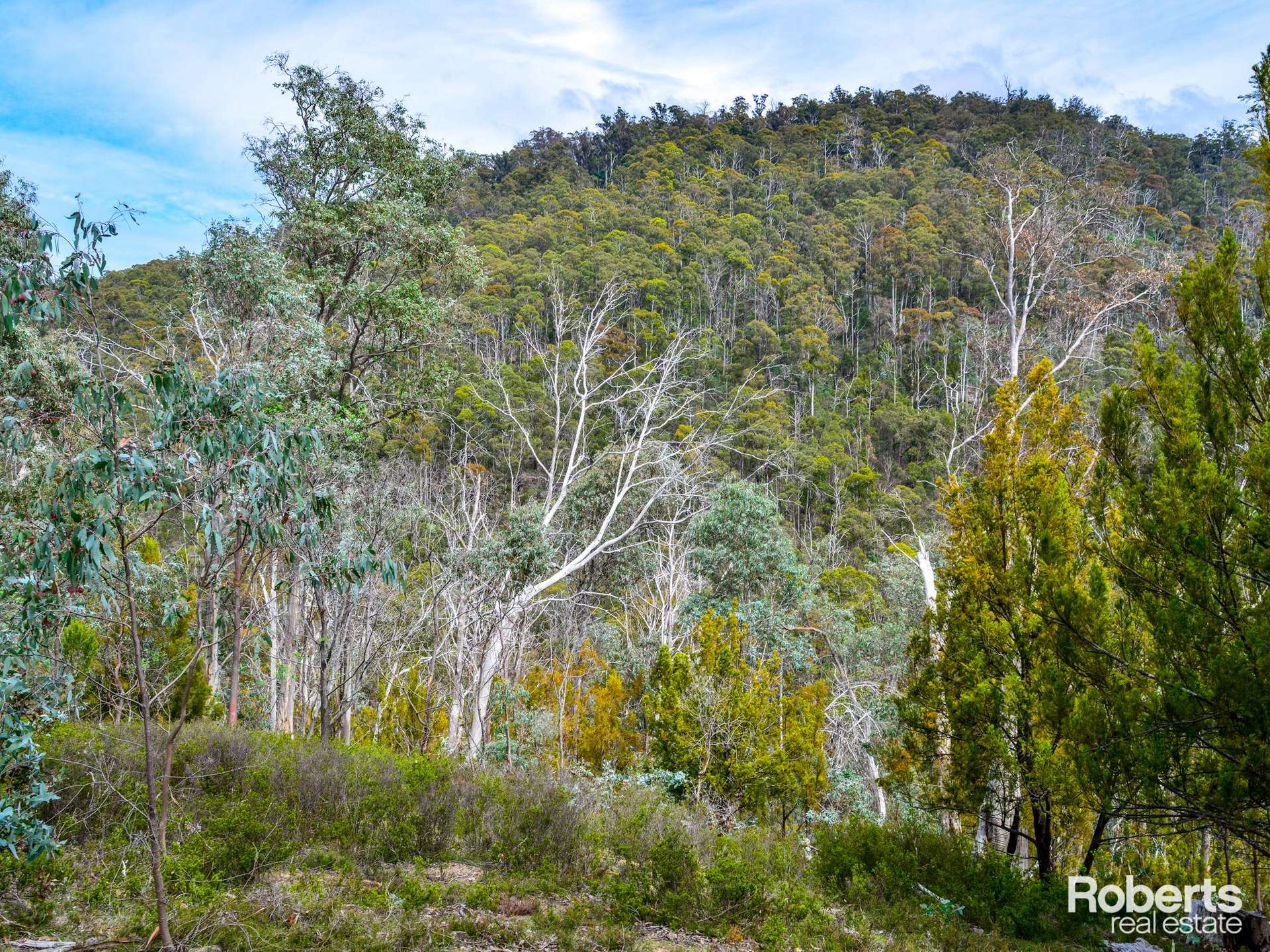 869 Back River Road, Magra For Sale by Farmbuy.com - image 4