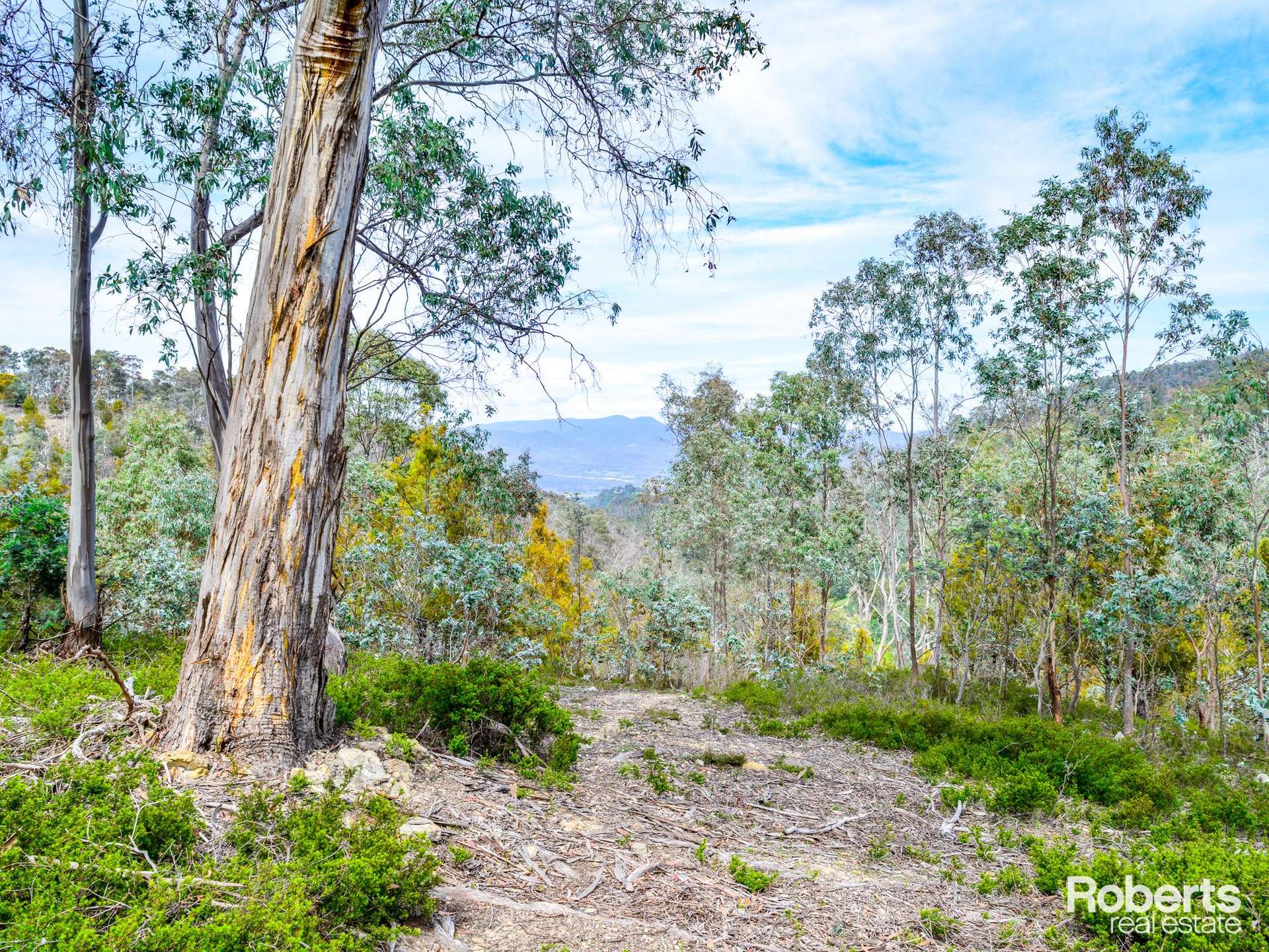 869 Back River Road, Magra For Sale by Farmbuy.com - image 2