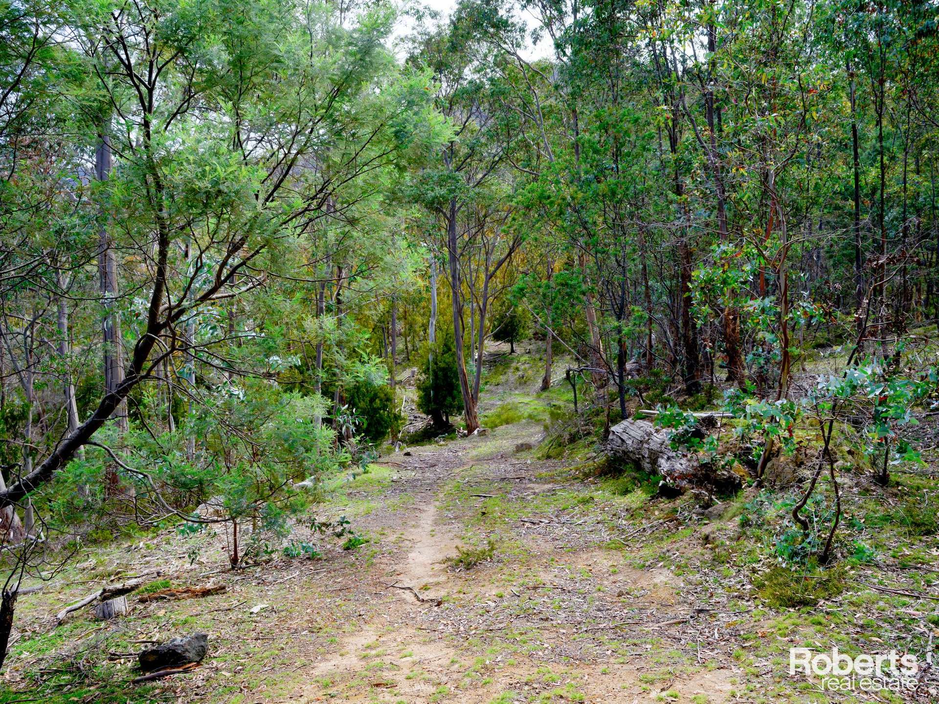 869 Back River Road, Magra For Sale by Farmbuy.com - image 8
