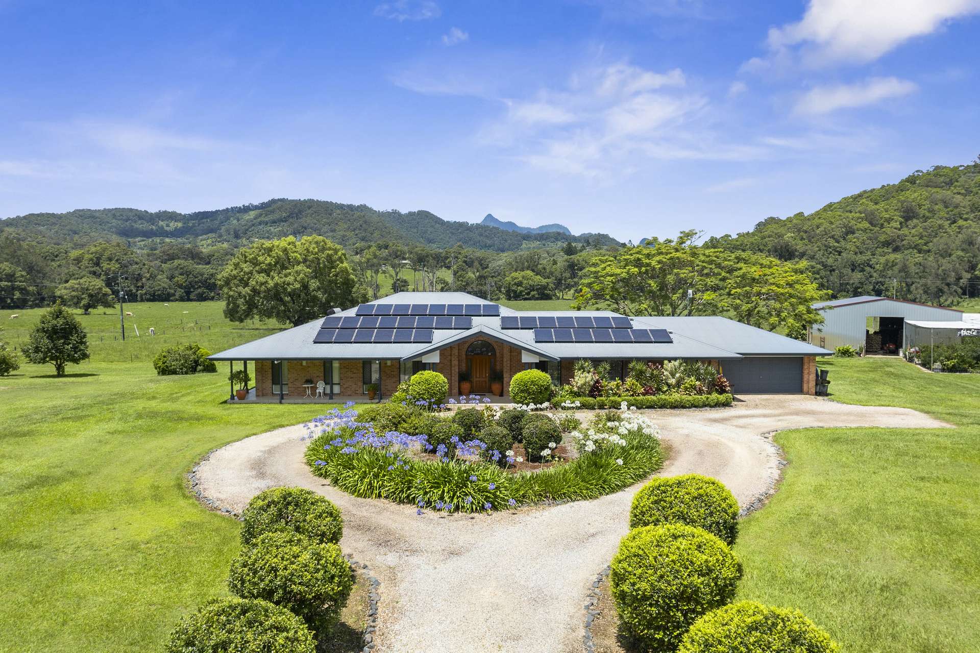 981 Numinbah Road, Crystal Creek For Sale by Farmbuy.com - image 6