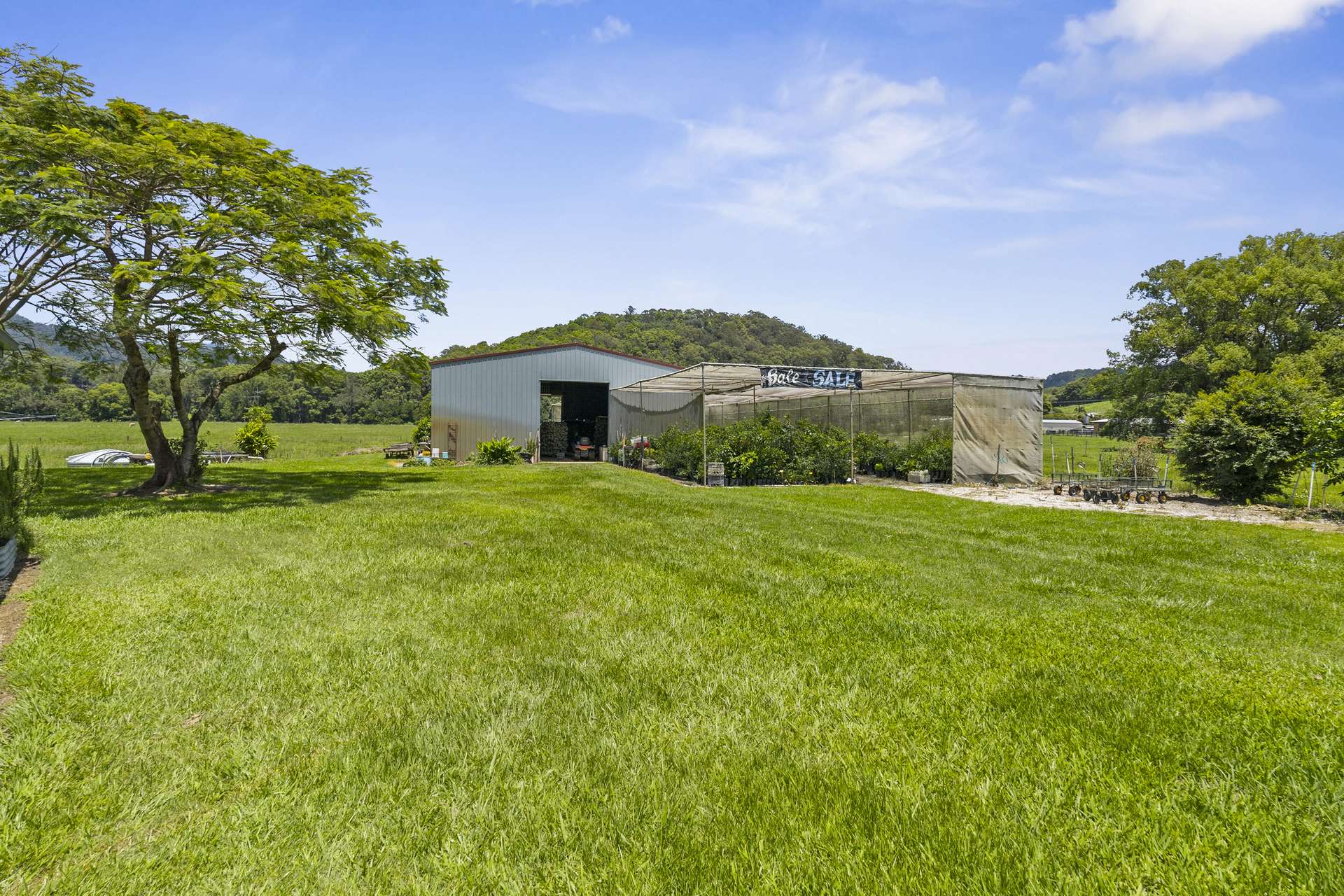 981 Numinbah Road, Crystal Creek For Sale by Farmbuy.com - image 26