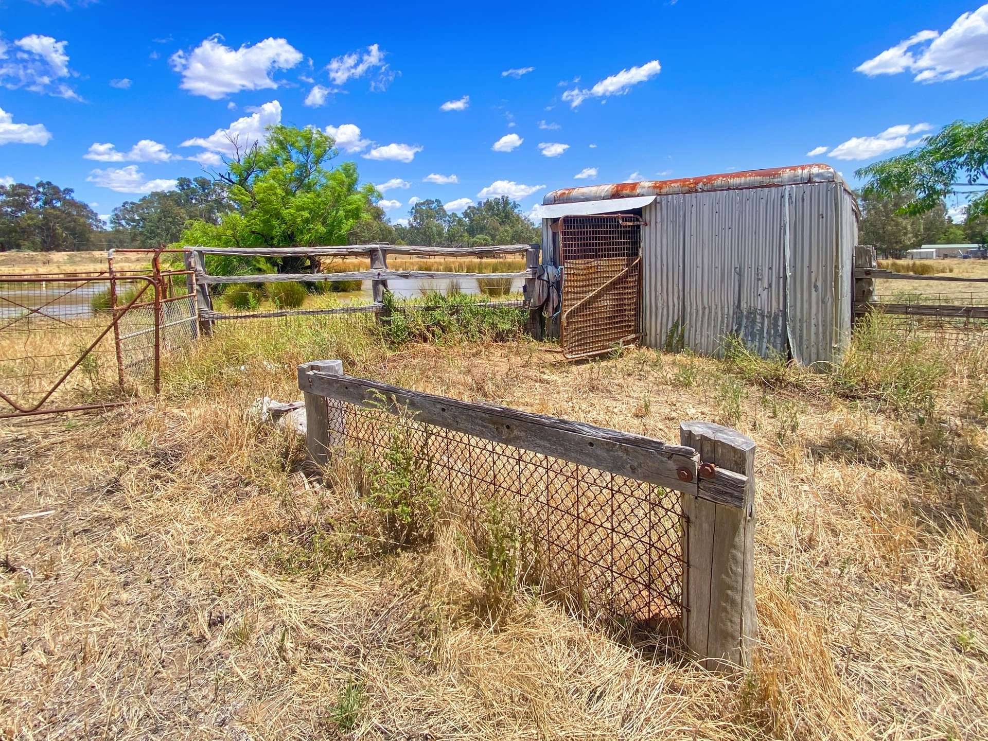 2-16 Sugden Street, Narrandera For Sale by Farmbuy.com - image 16